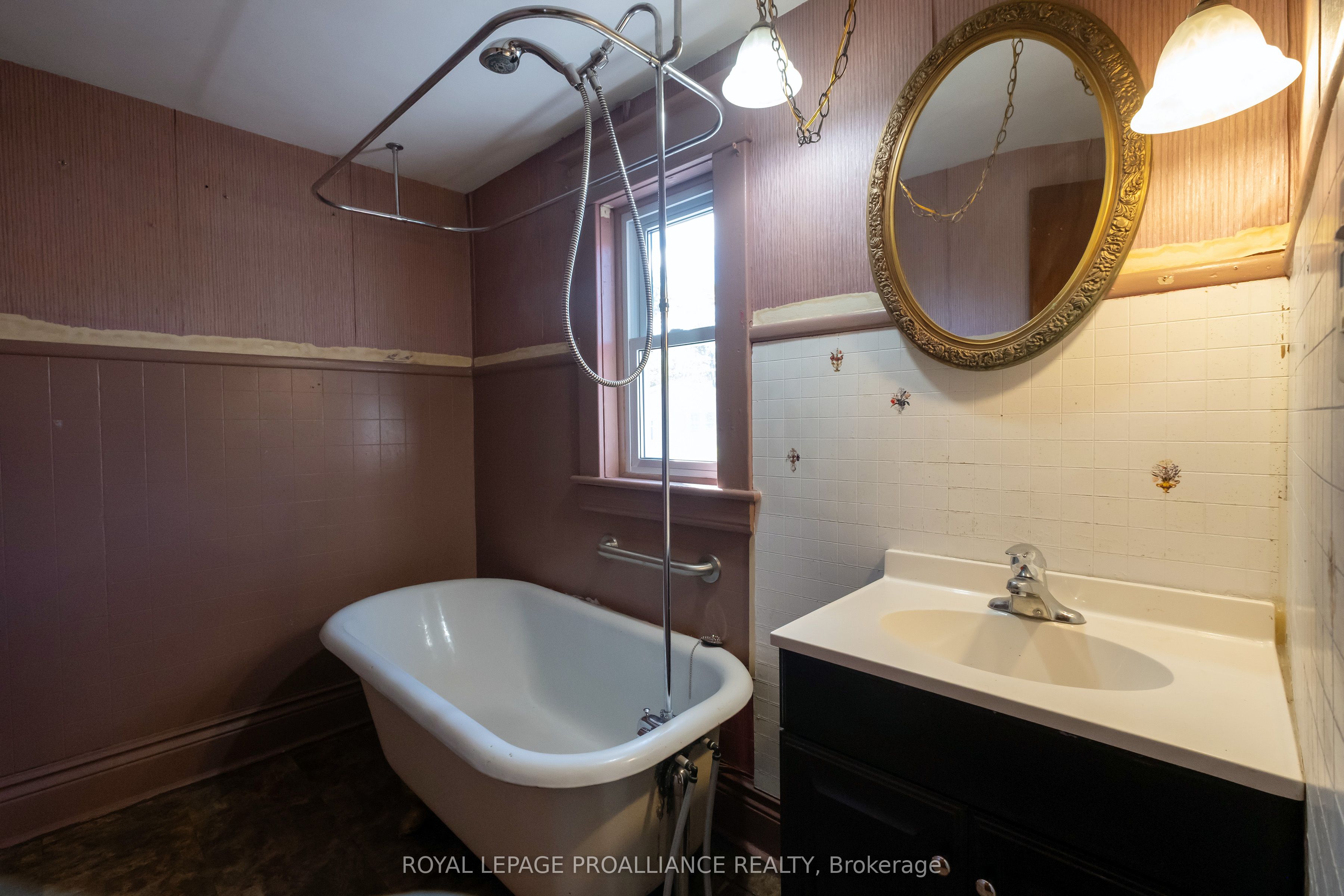 5 Albion Street Property Photo 23