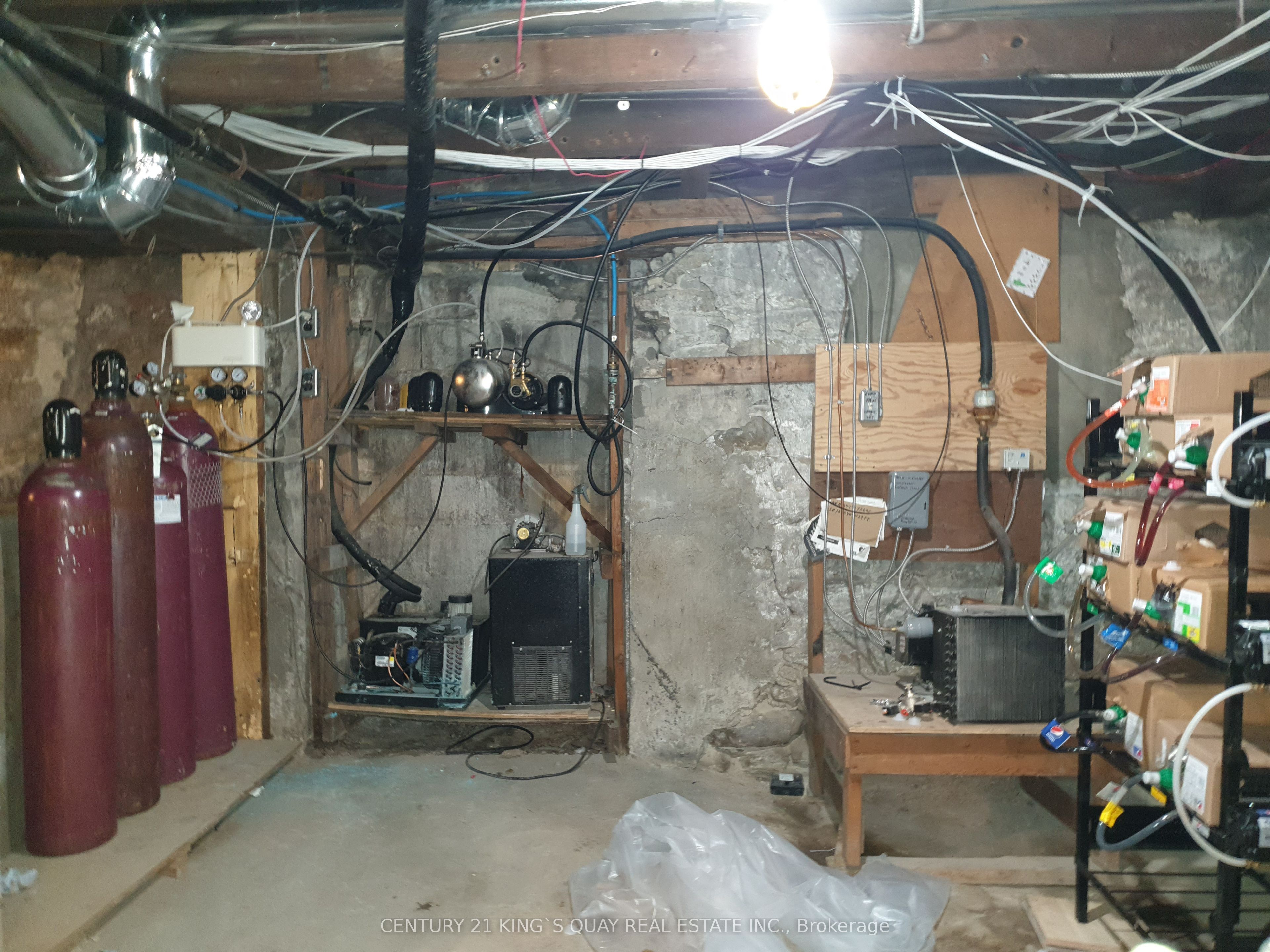 34 Lindsay Street S Gf Property Photo 47