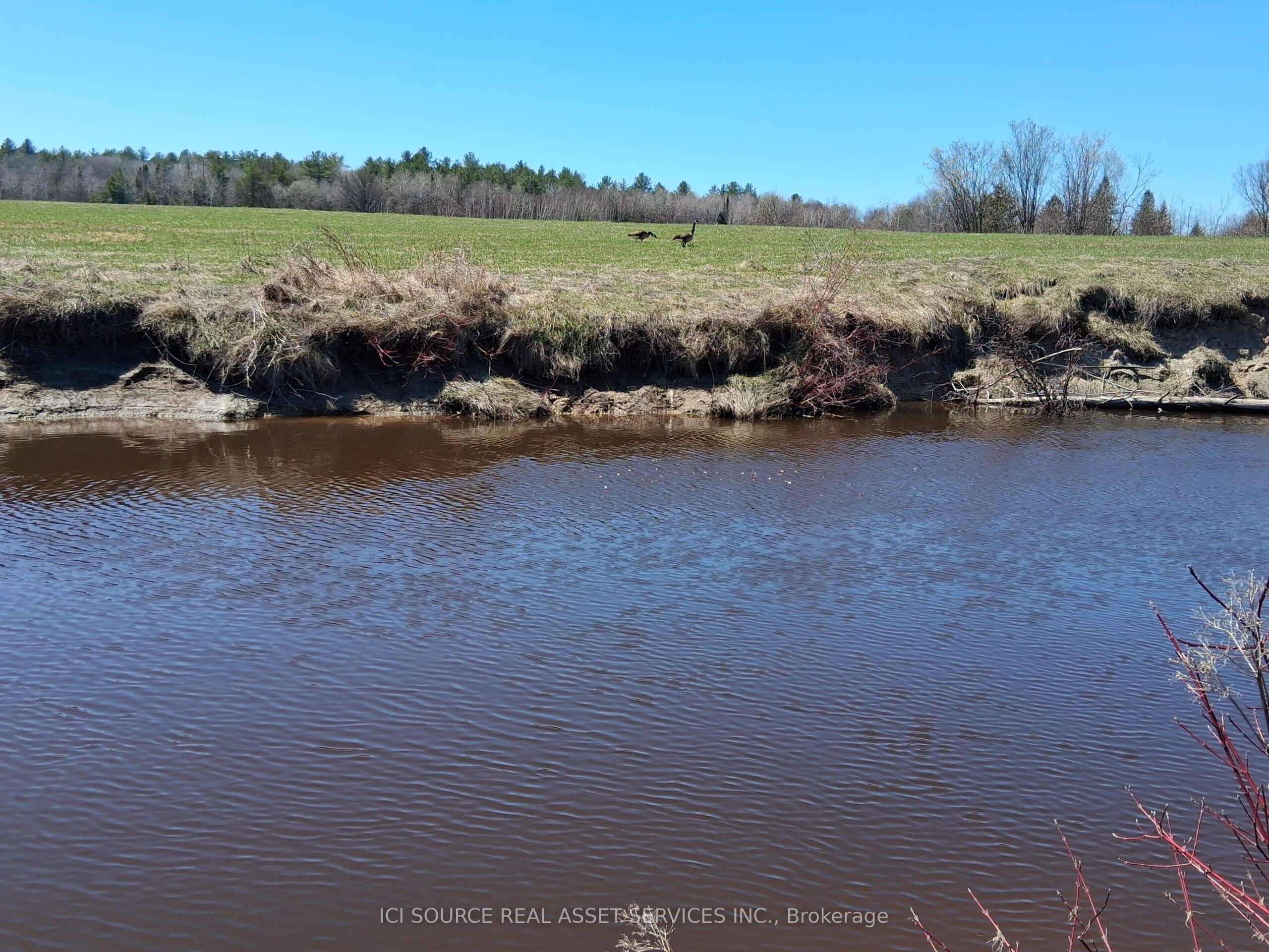 493 Pine Poultry Road Property Photo 17