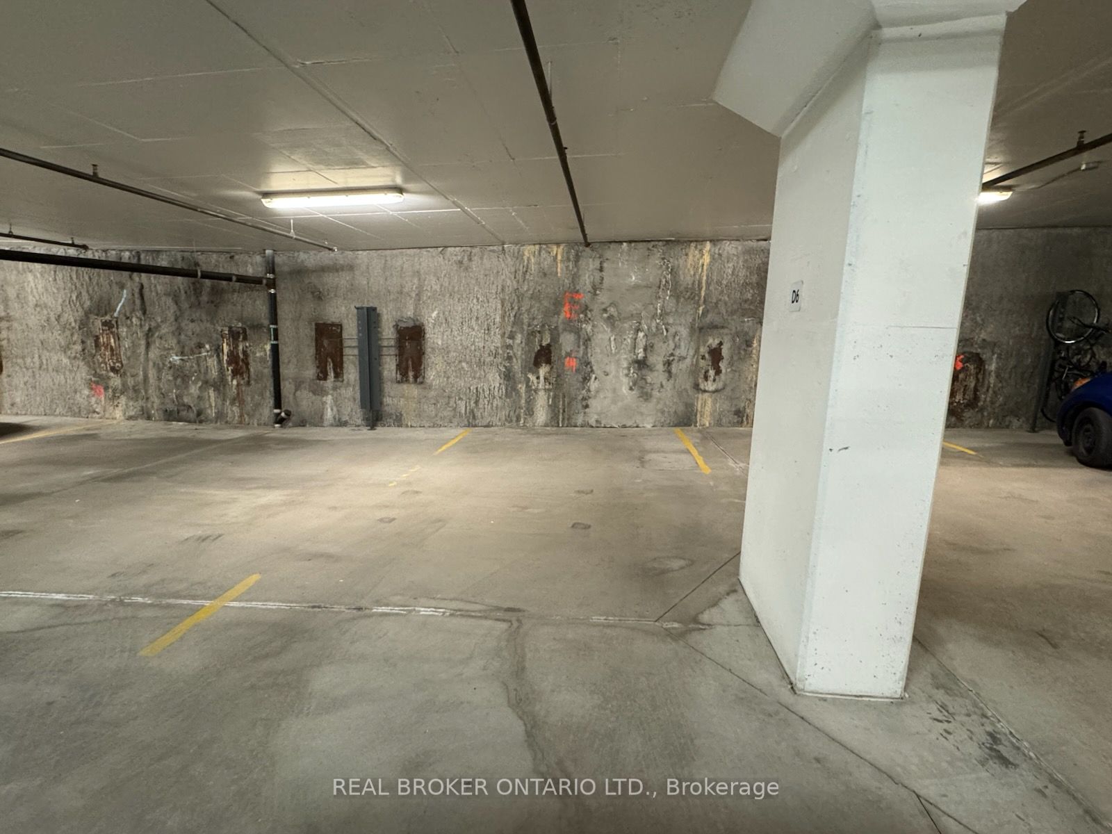 203 Catherine Street Property Photo 4