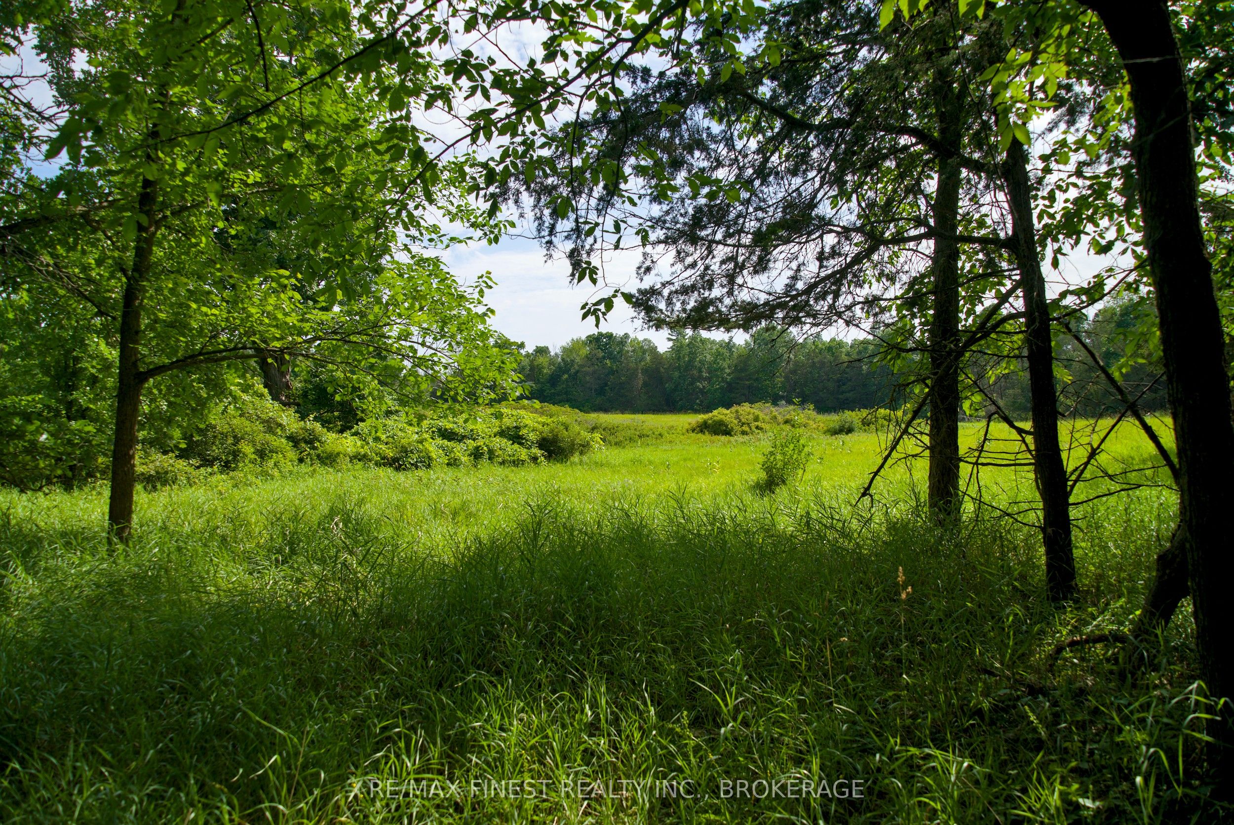 14005 Front Road Property Photo 49