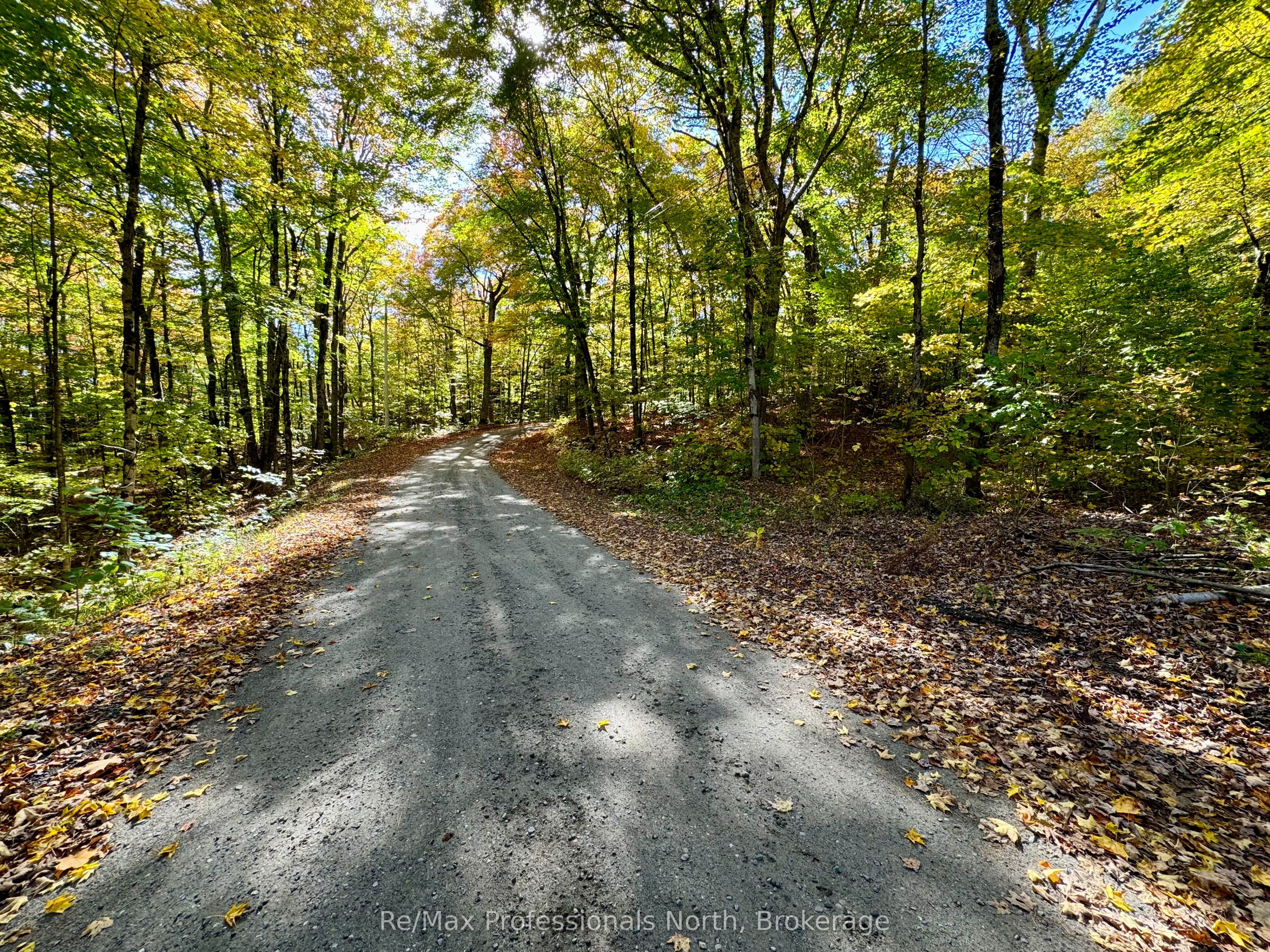 234 Longs Lake Rd Property Photo