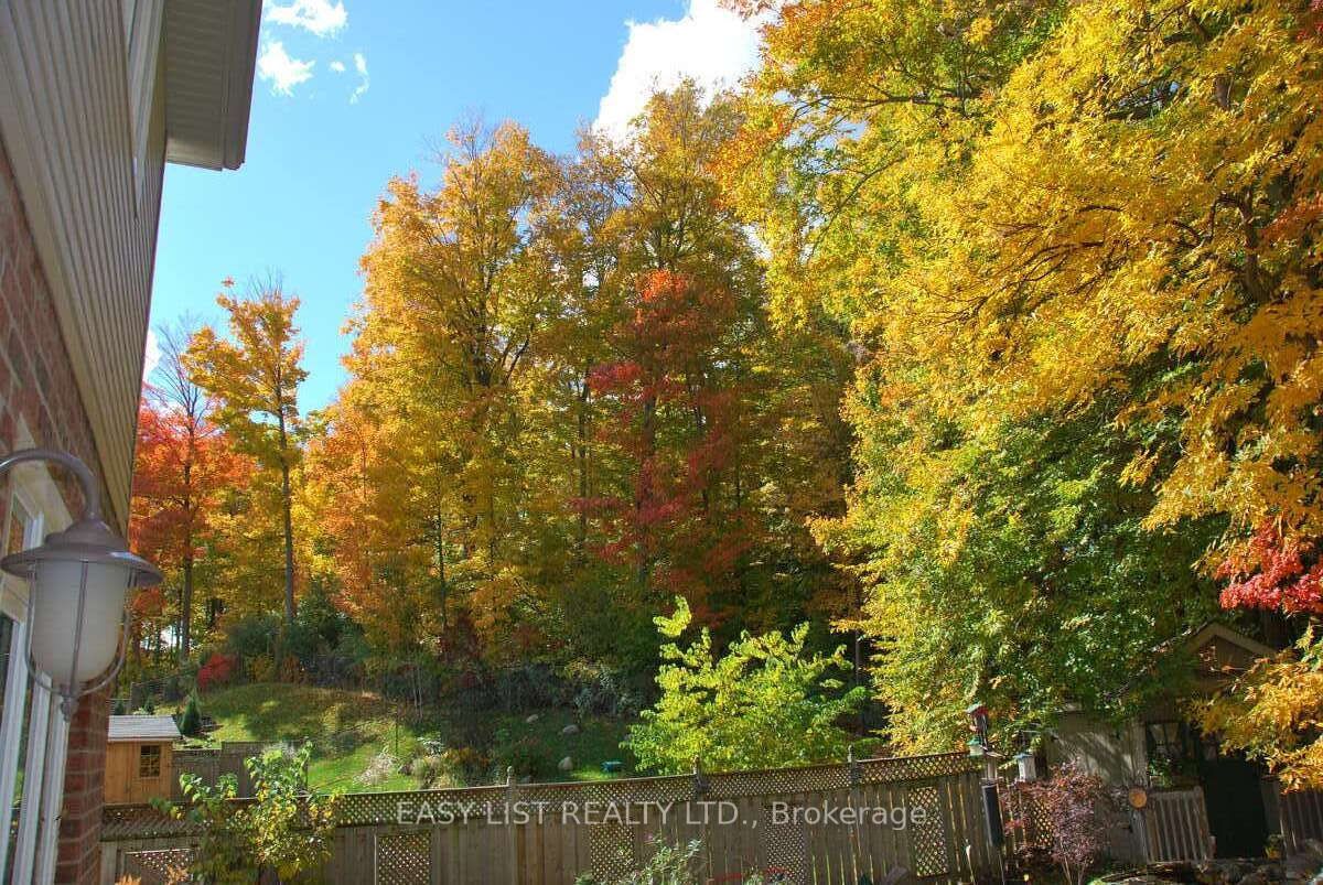 327 Richmeadow Road Property Photo 48