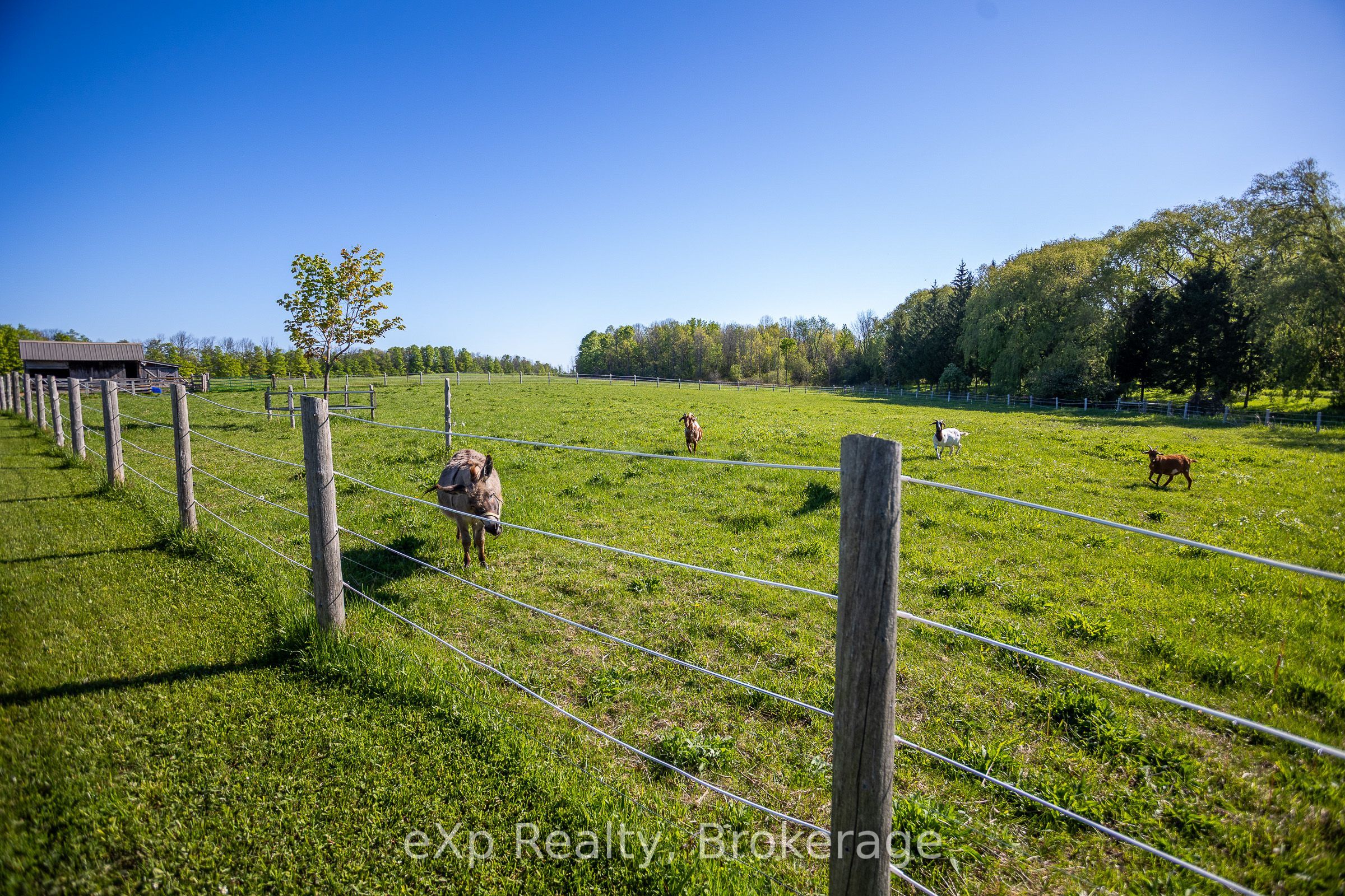 418485 Concession A Property Photo 39