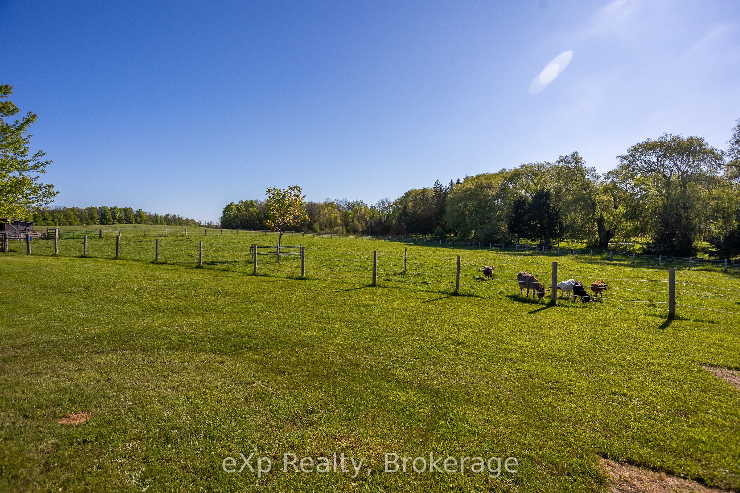 418485 Concession A Property Photo 40