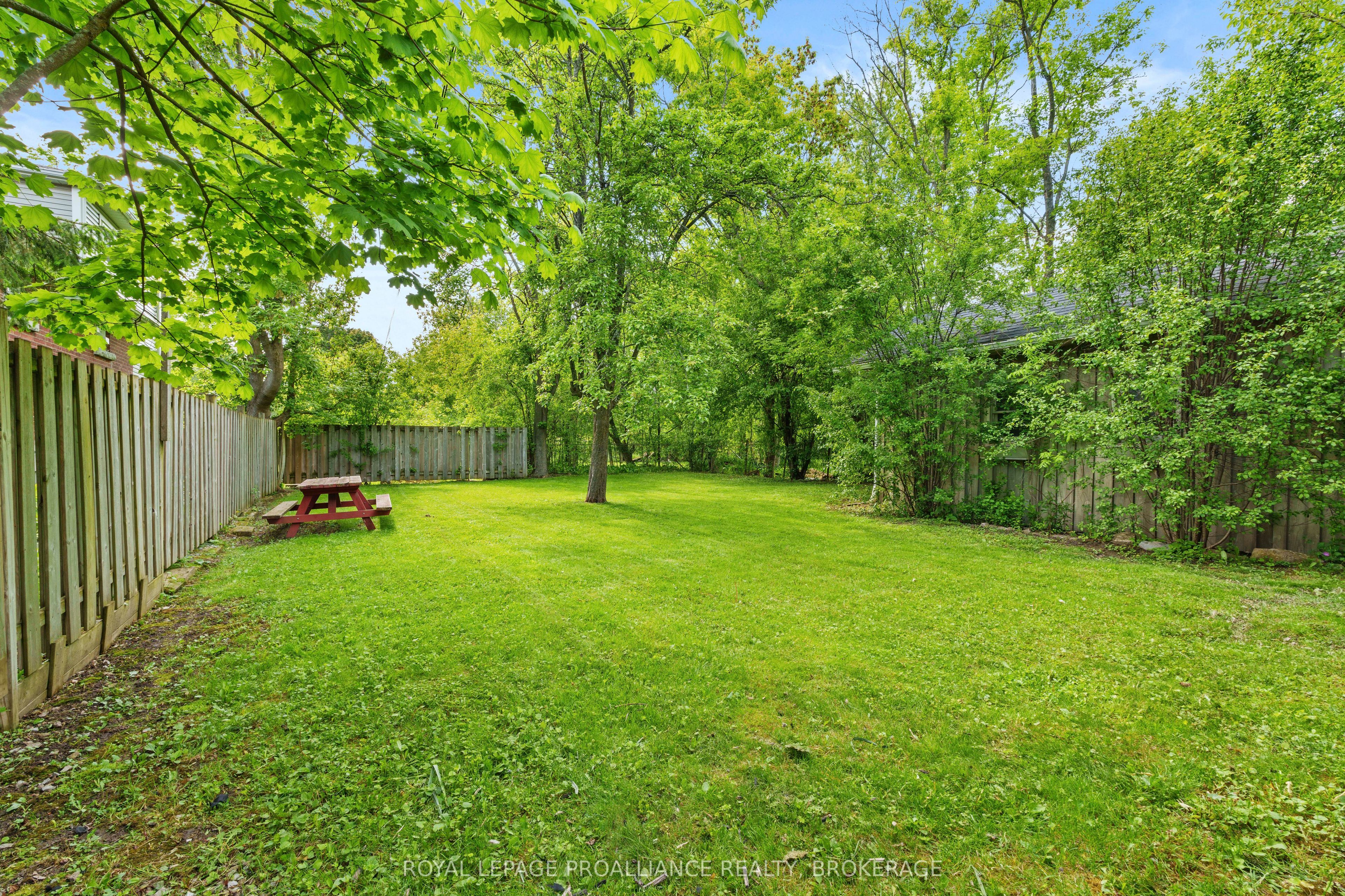 168 Macdonnell Street Property Photo 4
