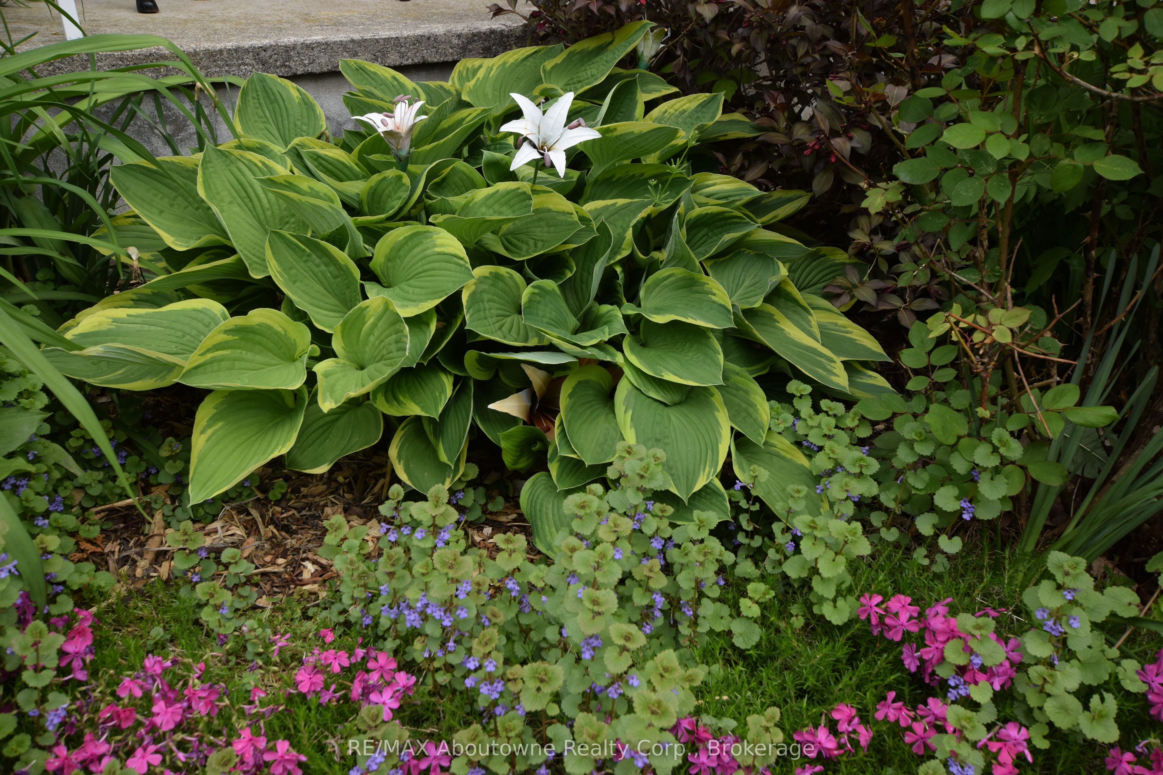 5 Vimy Street Property Photo 37