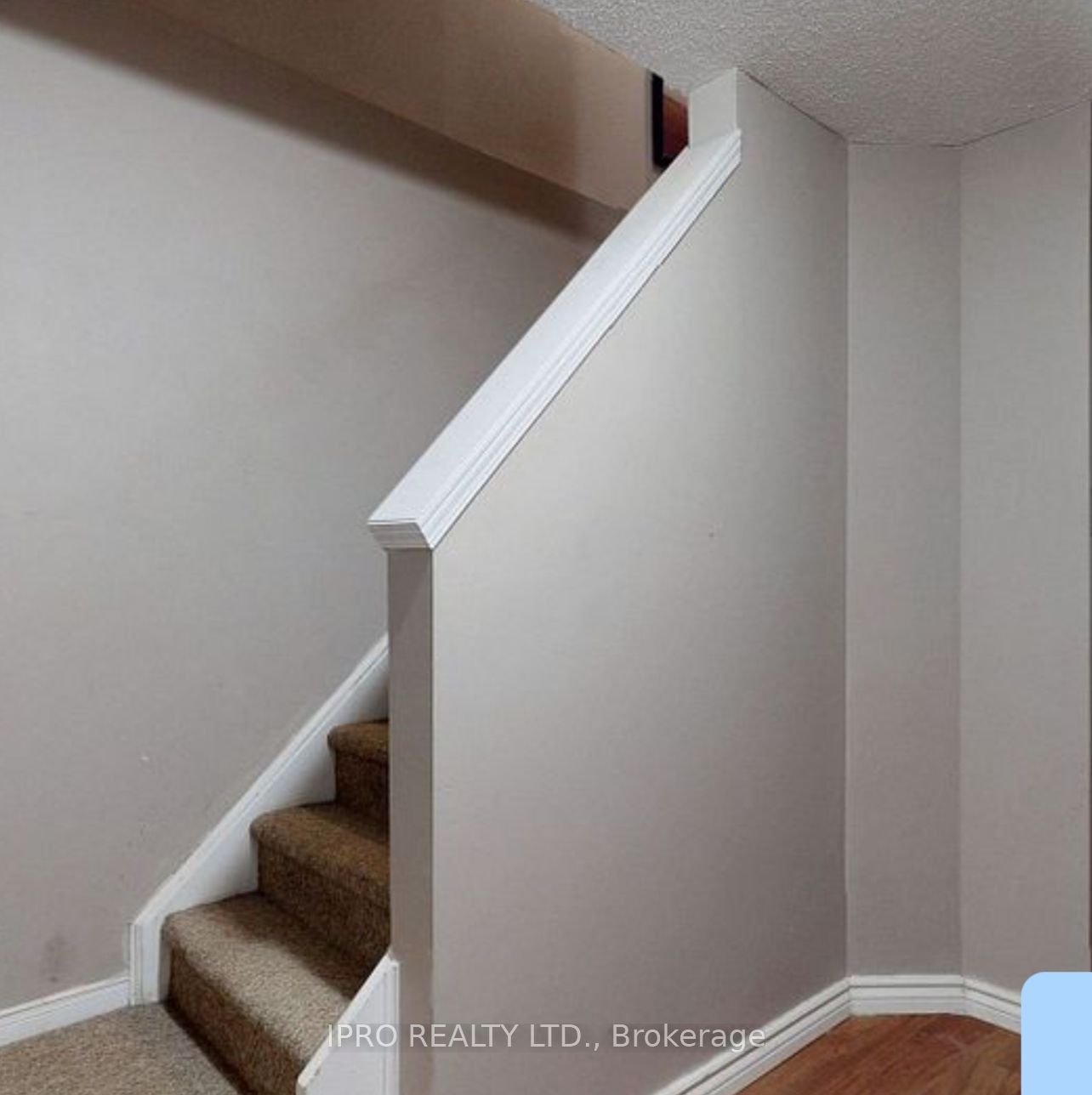 137 Newport Drive Property Photo 21