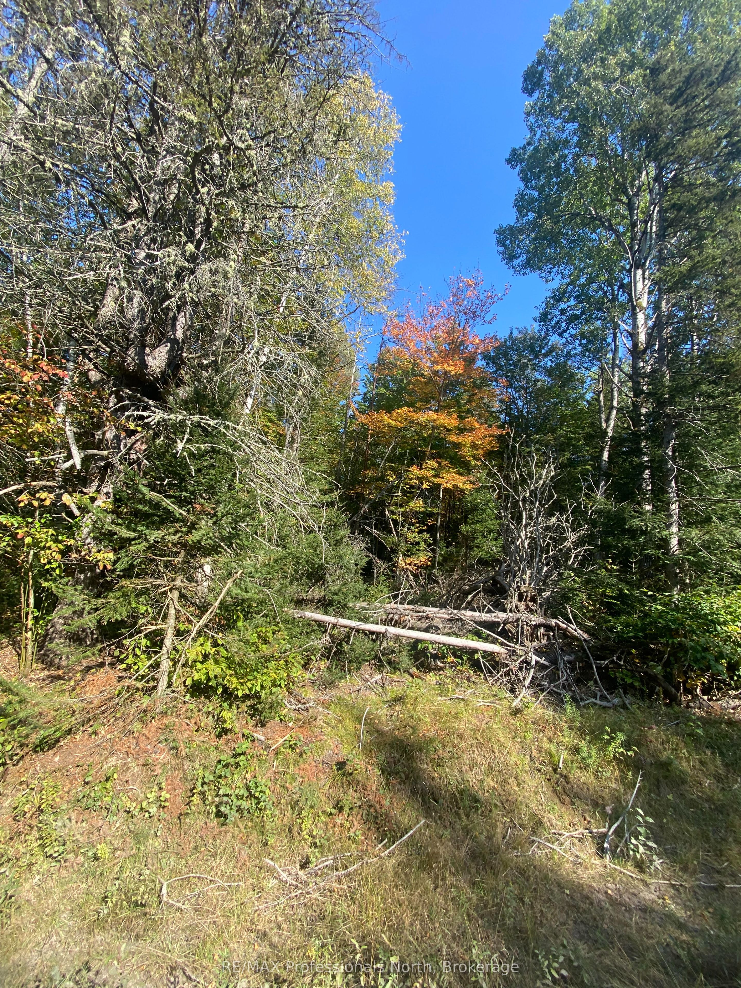 0 So Ho Mish Road Property Photo 1