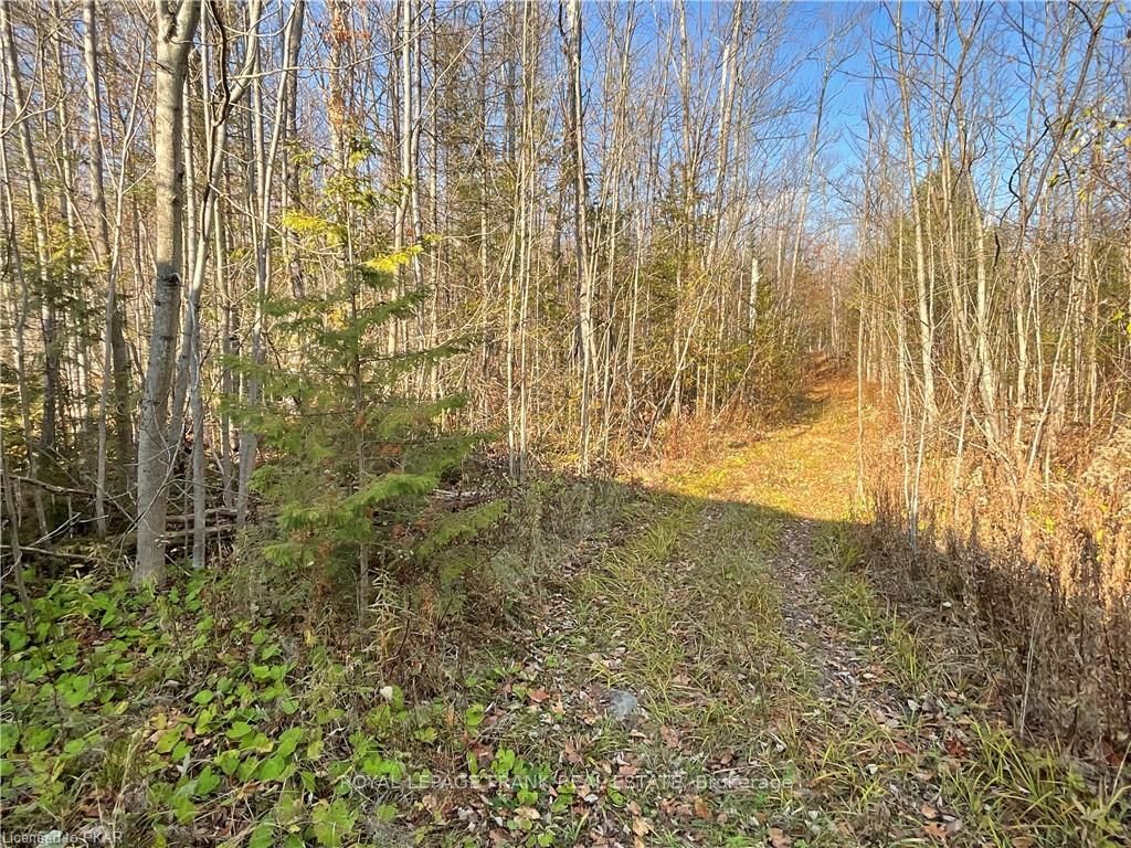 3467 County Rd 36 Property Photo 17