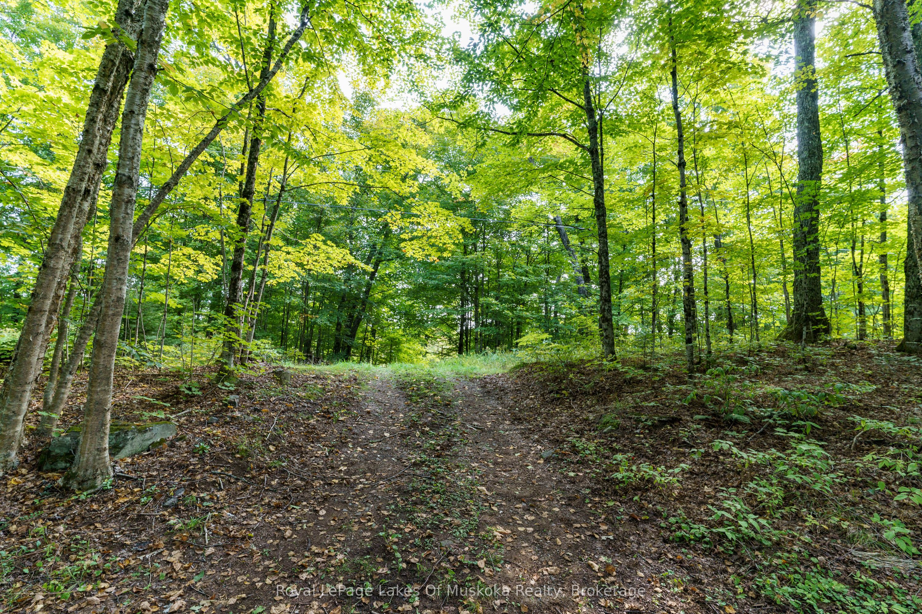 1119 Grist Mill Lane Property Photo 33