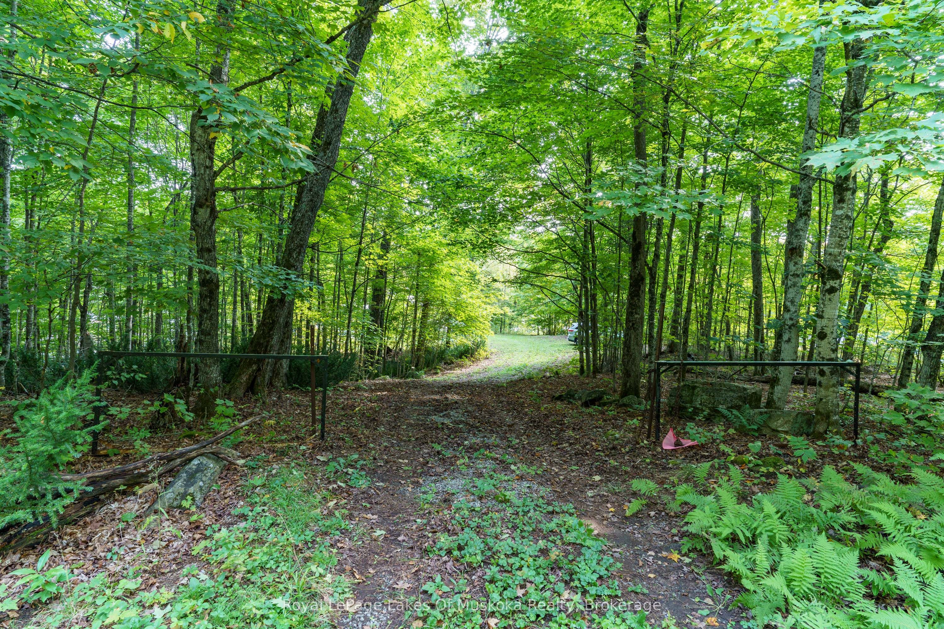 1119 Grist Mill Lane Property Photo 34