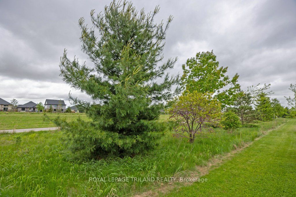 27 Foxtail Lane Property Photo 42