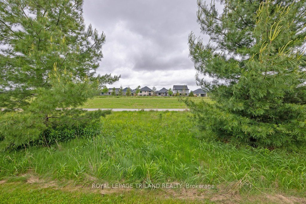 27 Foxtail Lane Property Photo 43