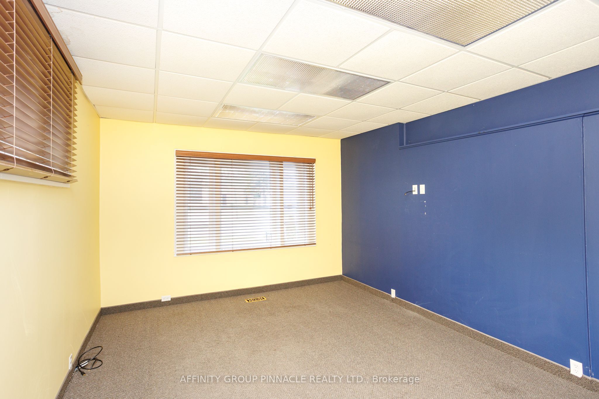 221 Kent Street Property Photo 28