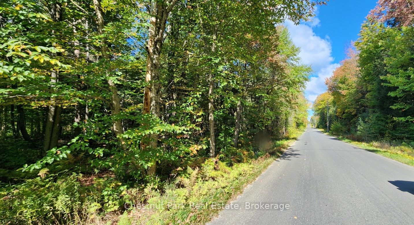 0 Skyline Drive Property Photo 1