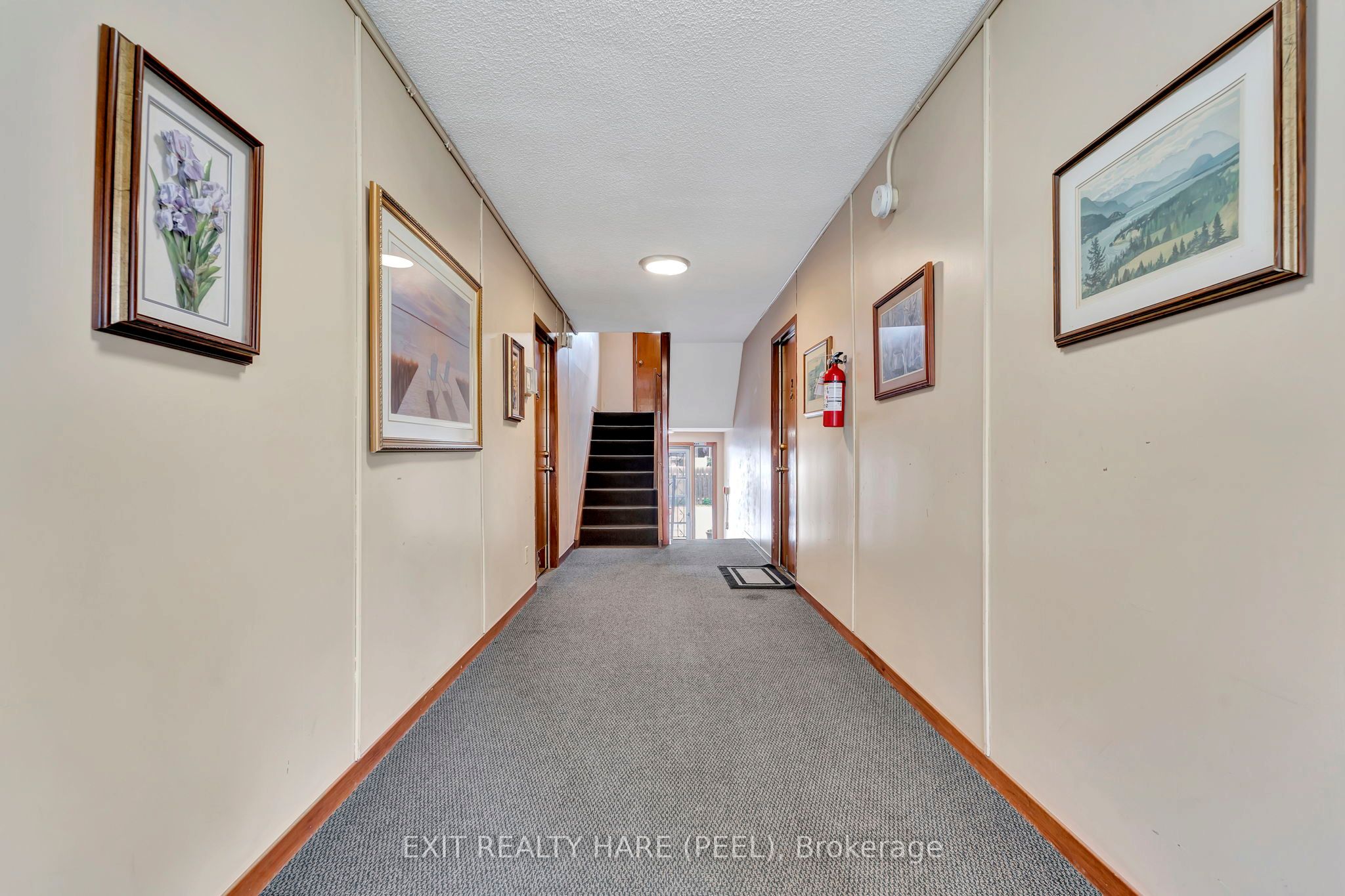 52 Hampton St Property Photo 7
