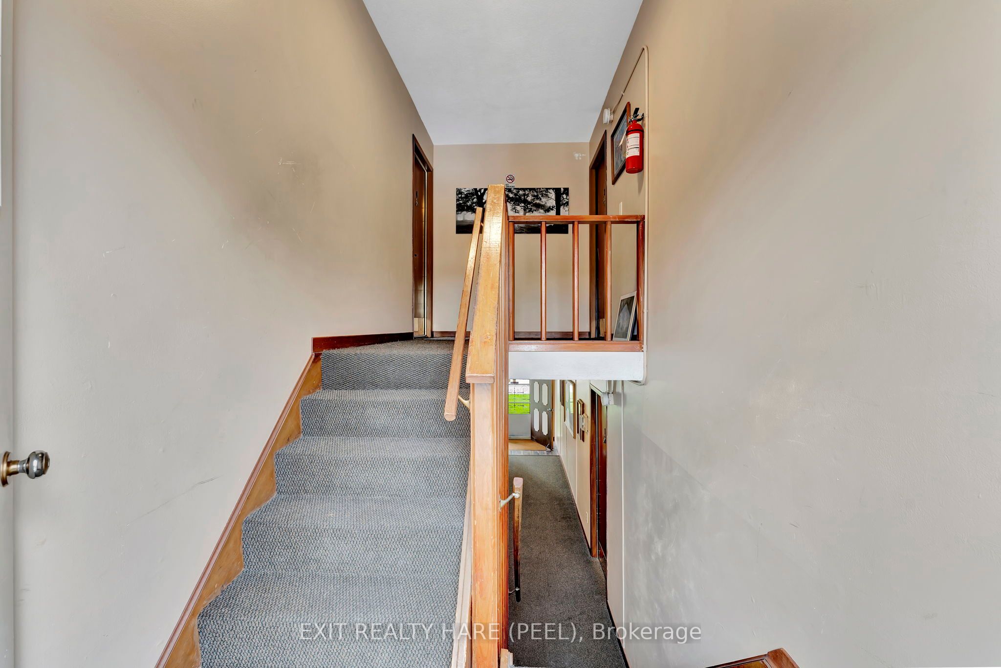 52 Hampton St Property Photo 8