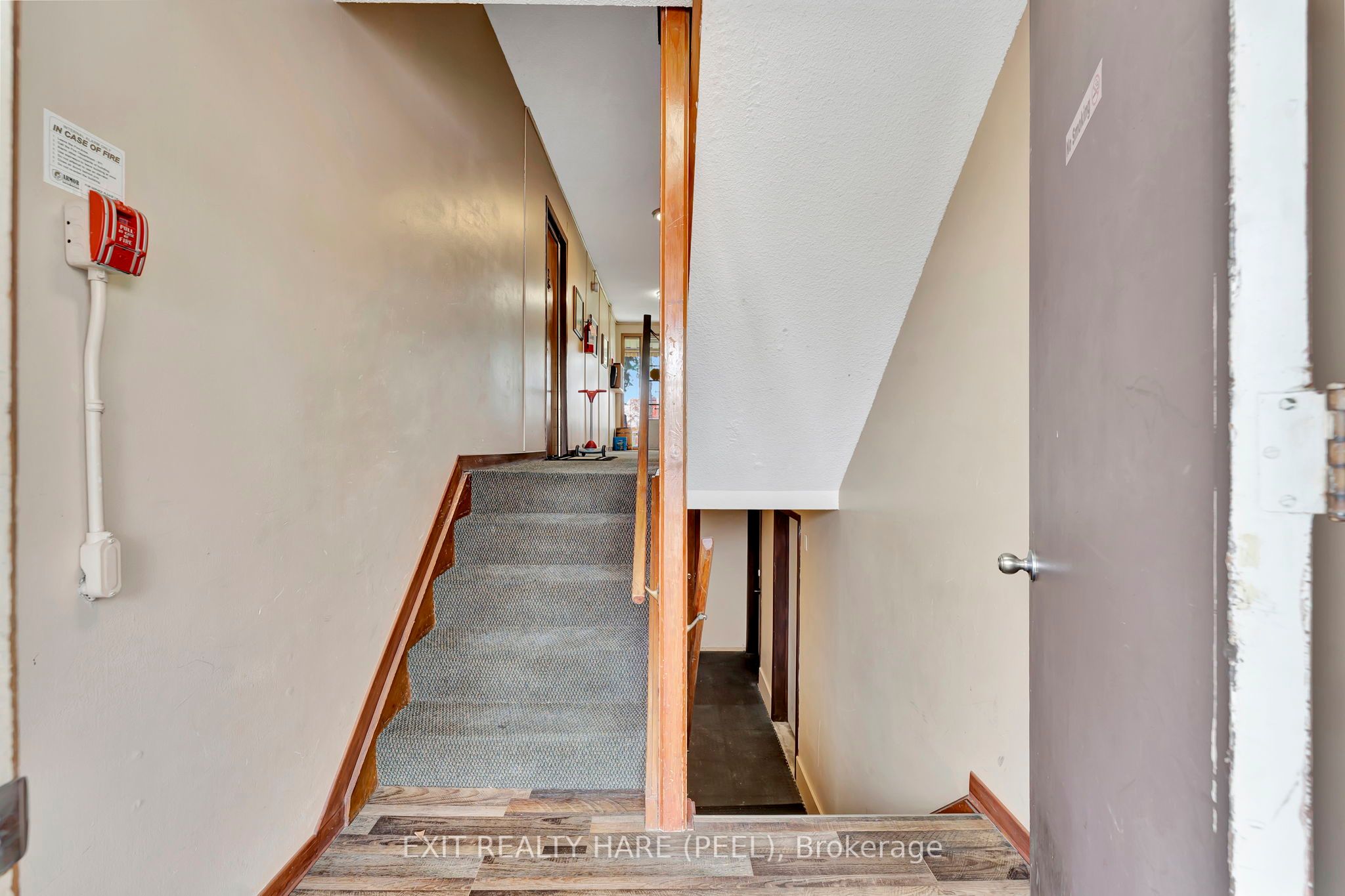 52 Hampton St Property Photo 20
