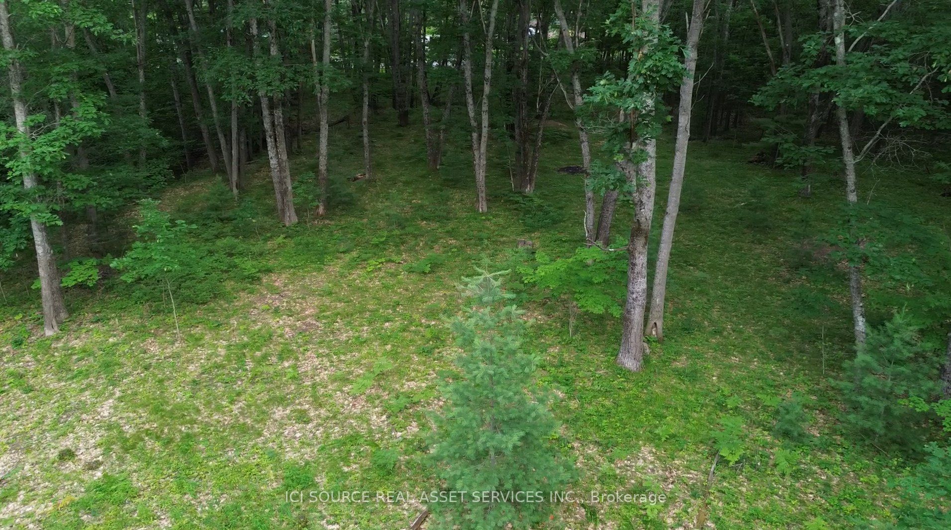 125 Ritchie Ave Property Photo 3