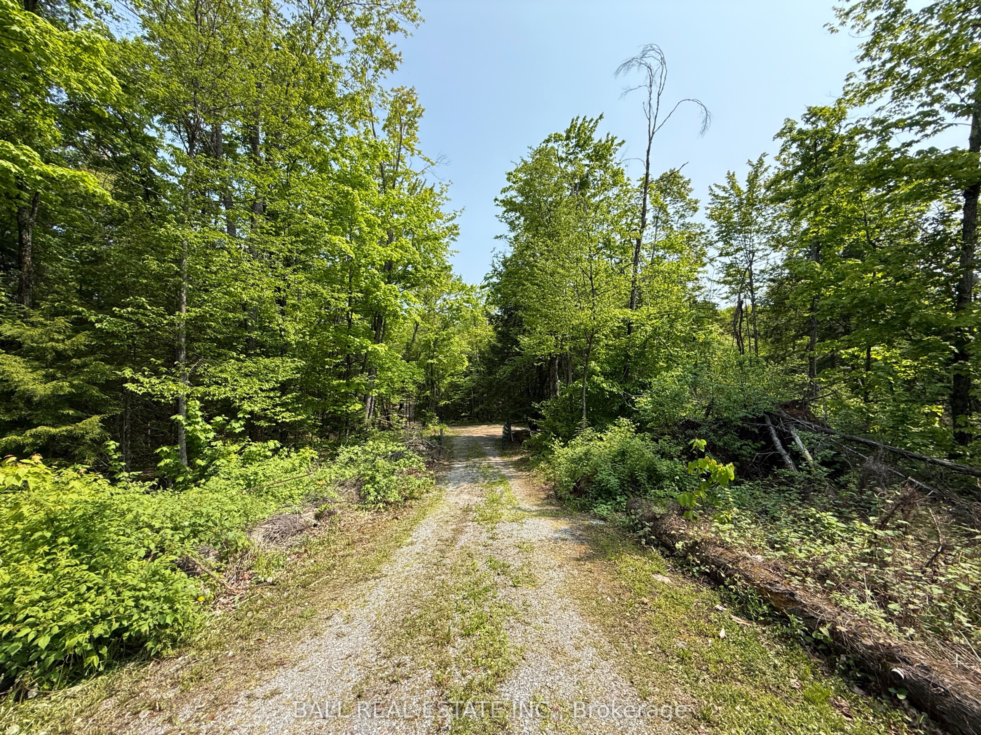 1854 The South Road Property Photo 18