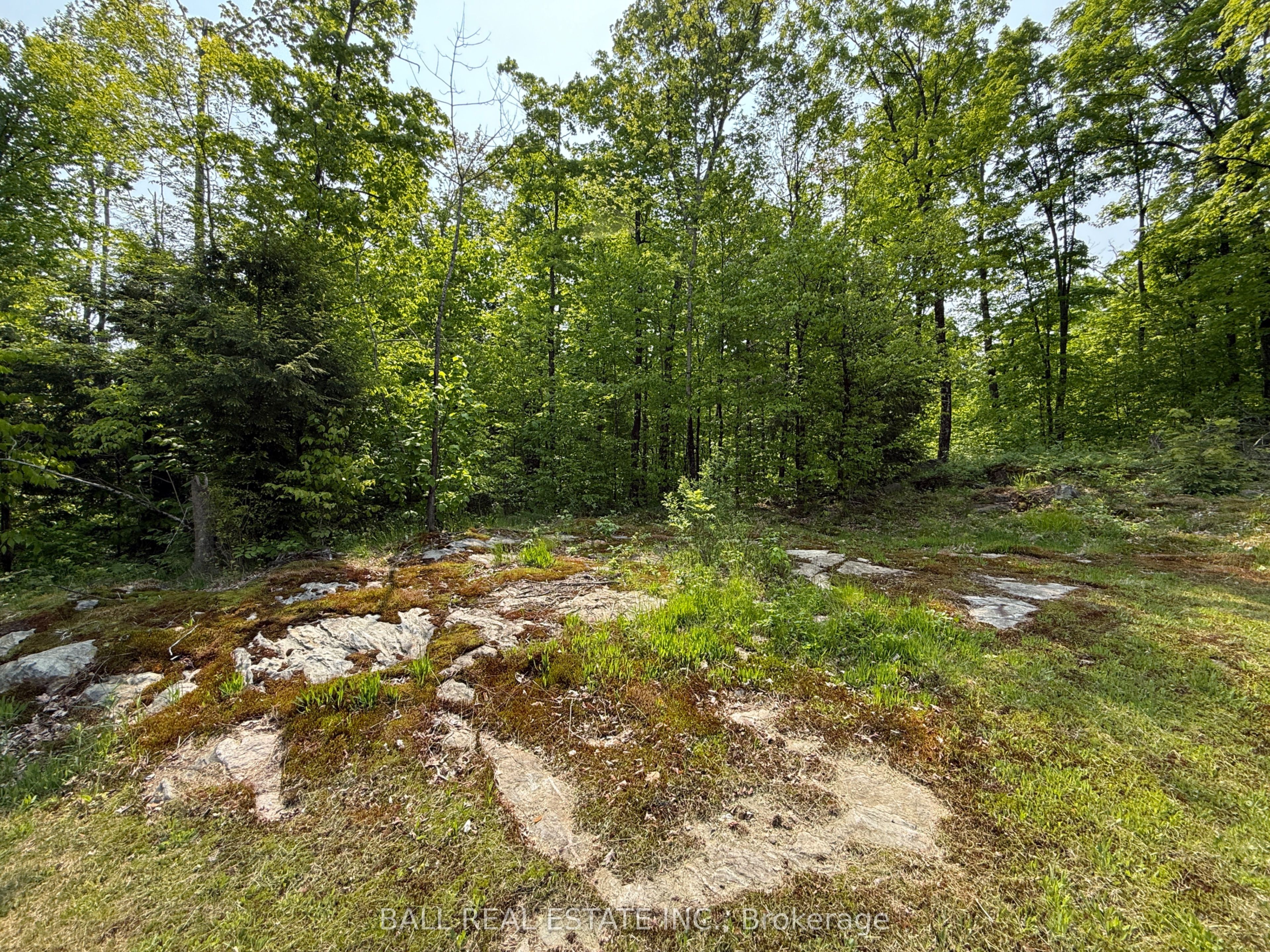 1854 The South Road Property Photo 22