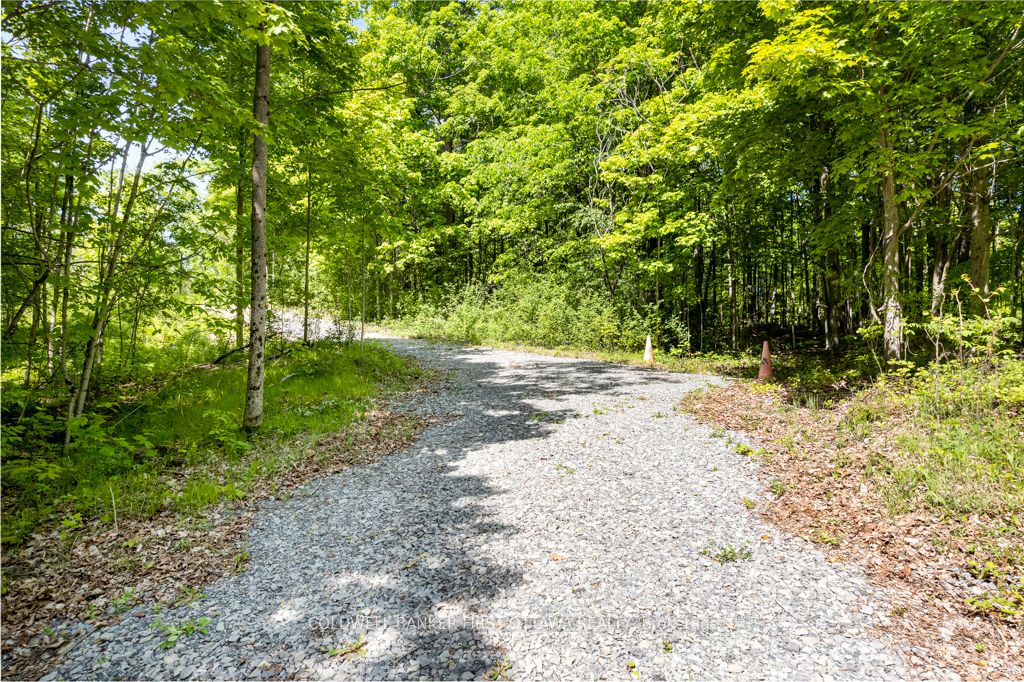 00 Scotch Line Property Photo 5