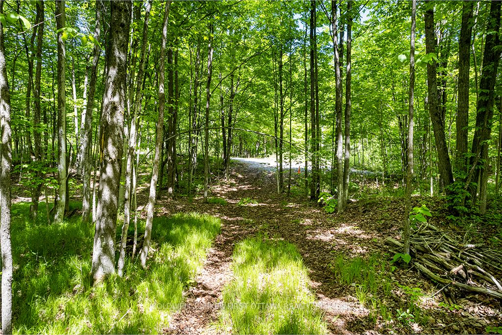 00 Scotch Line Property Photo 6