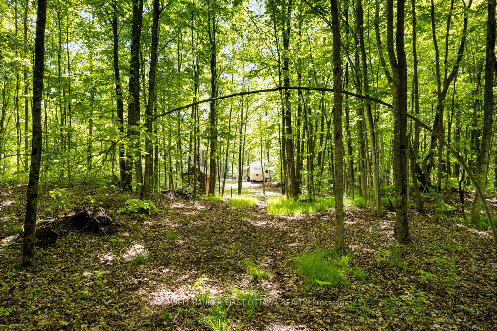 00 Scotch Line Property Photo 7