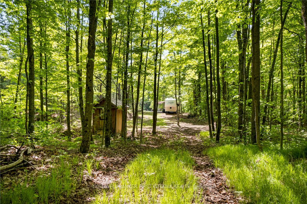 00 Scotch Line Property Photo 8