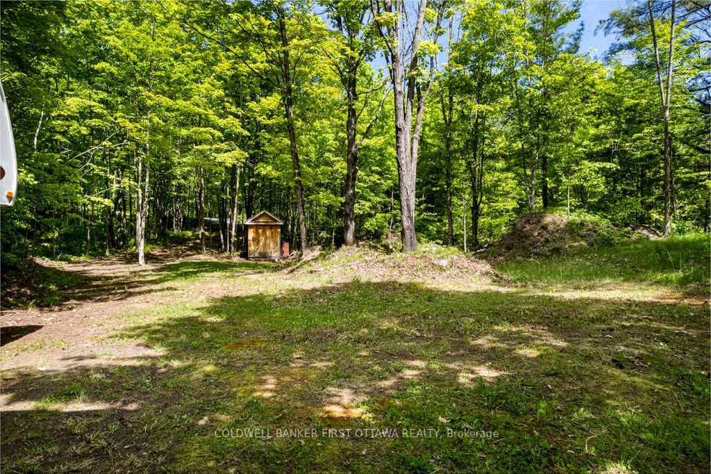 00 Scotch Line Property Photo 9