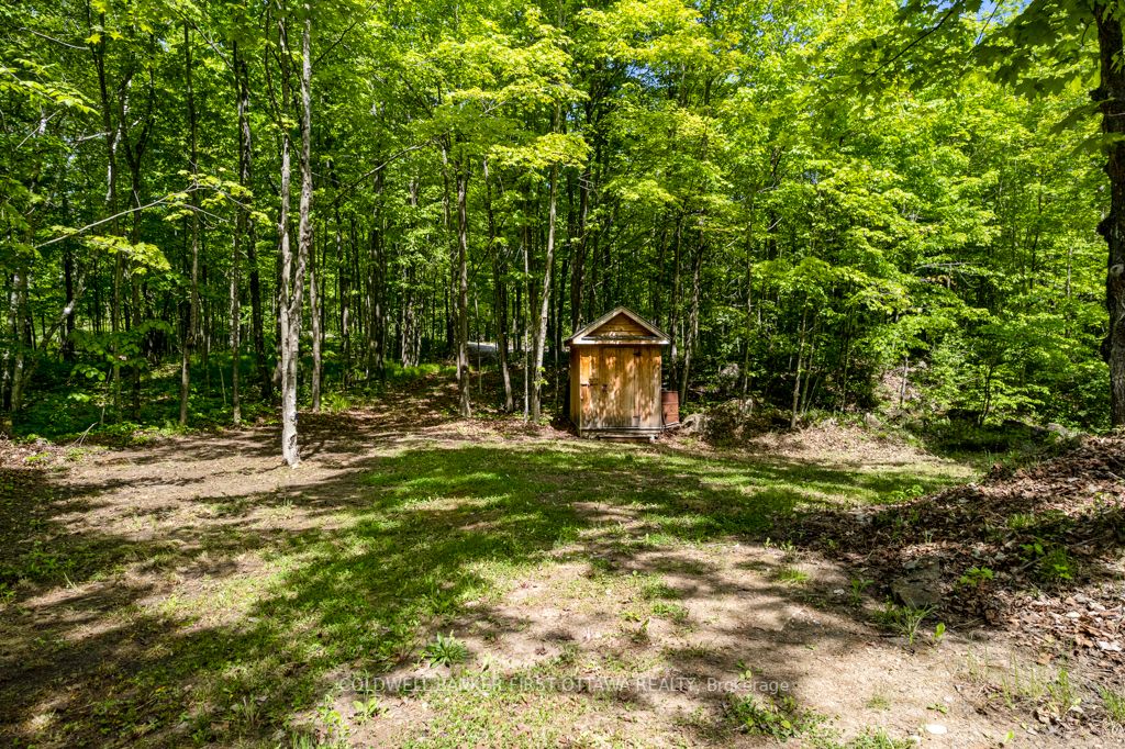 00 Scotch Line Property Photo 10