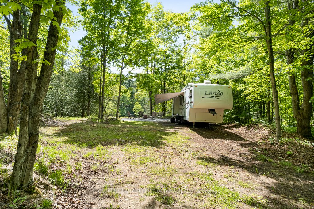 00 Scotch Line Property Photo 13