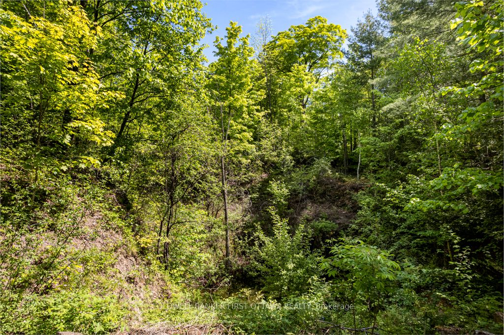 00 Scotch Line Property Photo 40