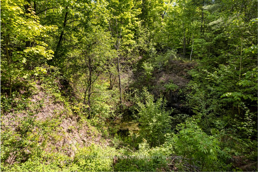 00 Scotch Line Property Photo 41