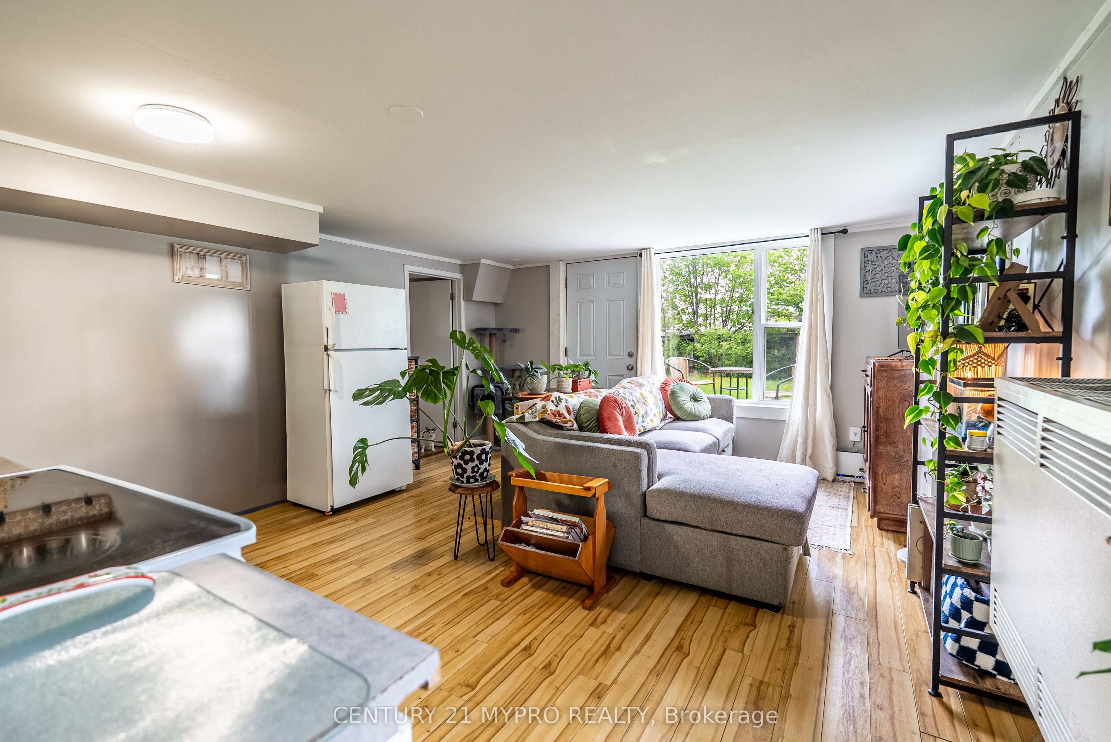 22 Whittaker Street Property Photo 27