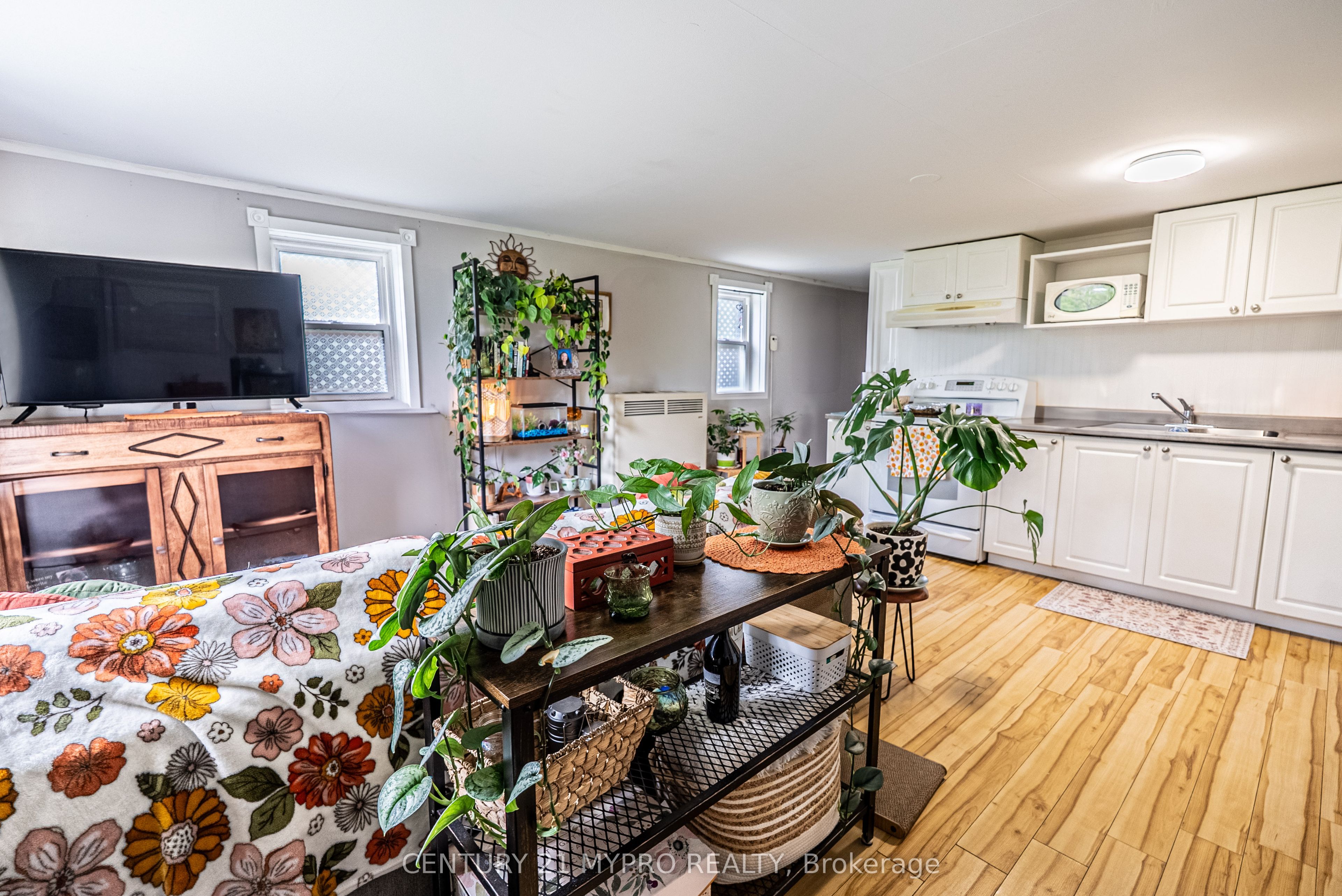 22 Whittaker Street Property Photo 32