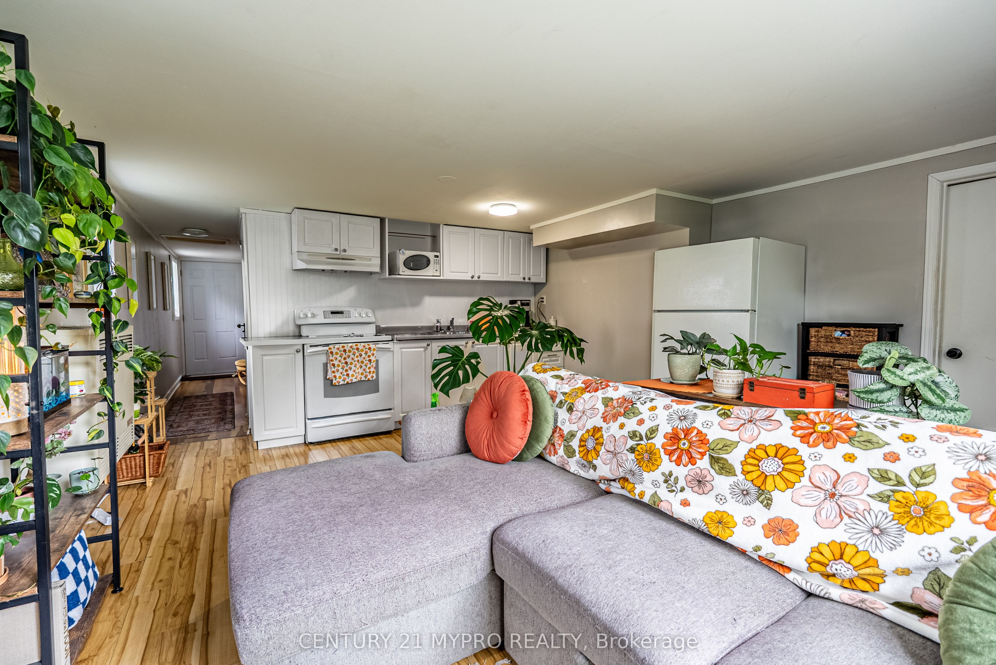 22 Whittaker Street Property Photo 34