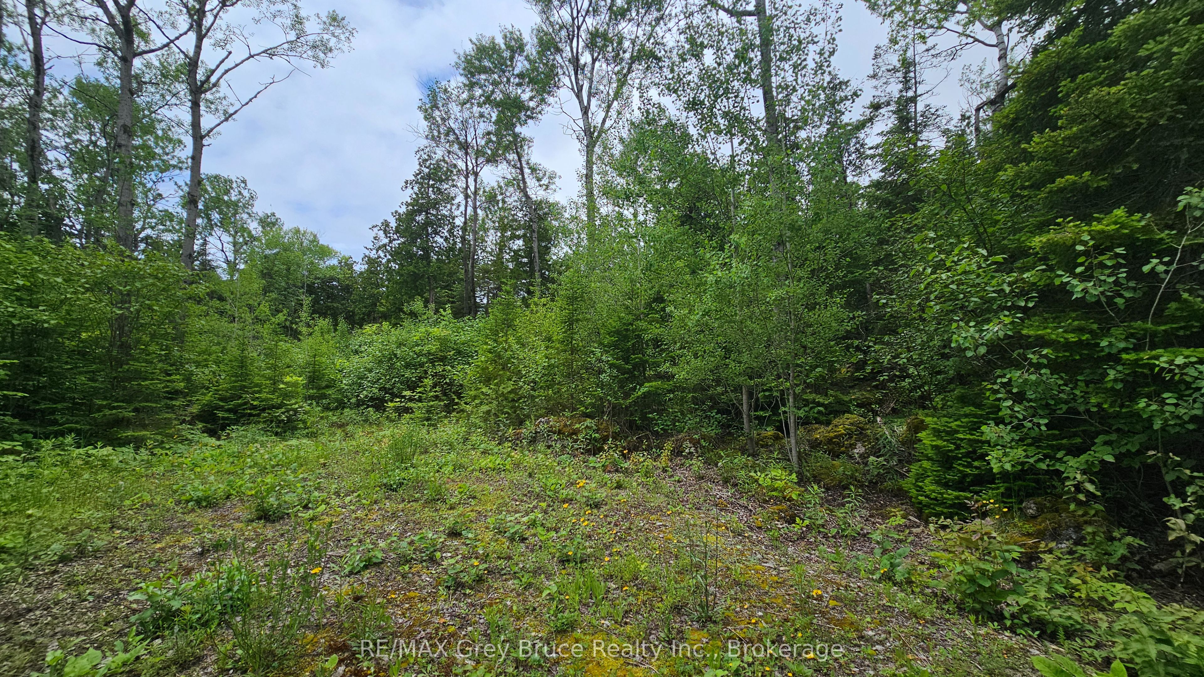 Pt Lt 35 Con 3 Wbr Hardwick Cove Road Property Photo 1