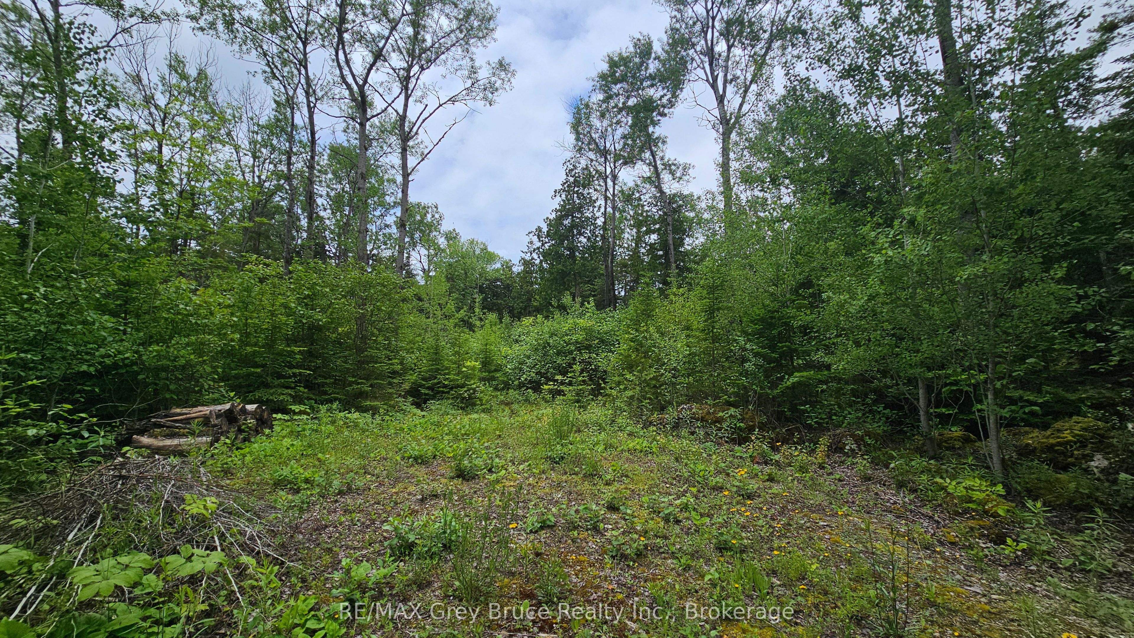 Pt Lt 35 Con 3 Wbr Hardwick Cove Road Property Photo 2