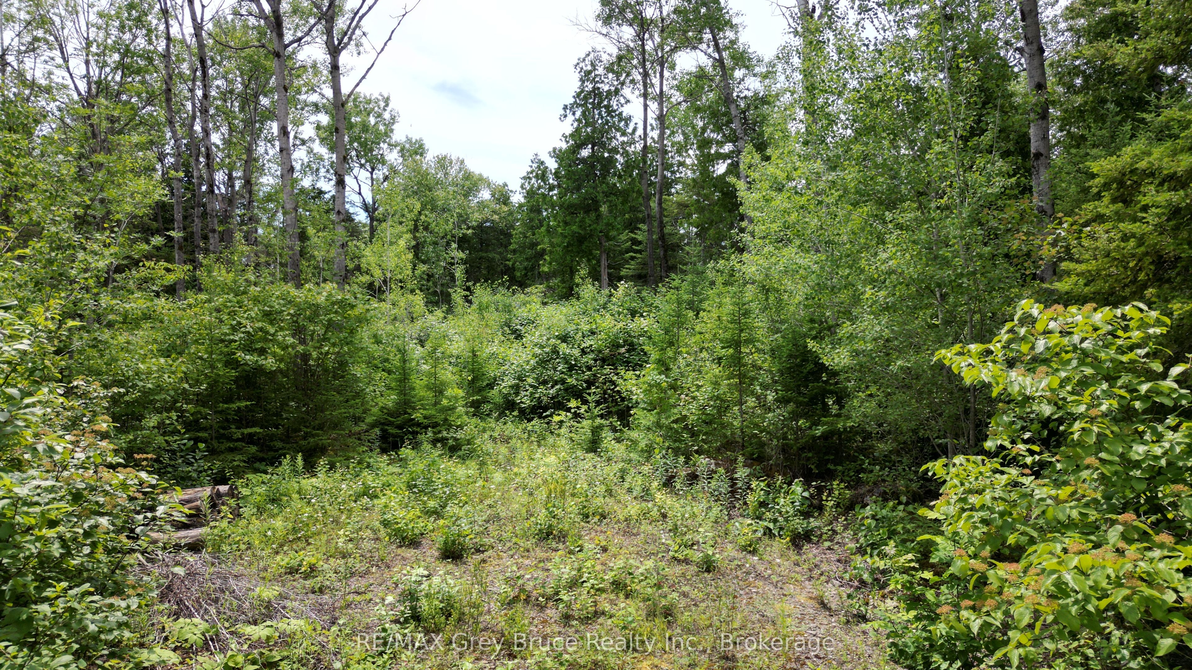 Pt Lt 35 Con 3 Wbr Hardwick Cove Road Property Photo 6
