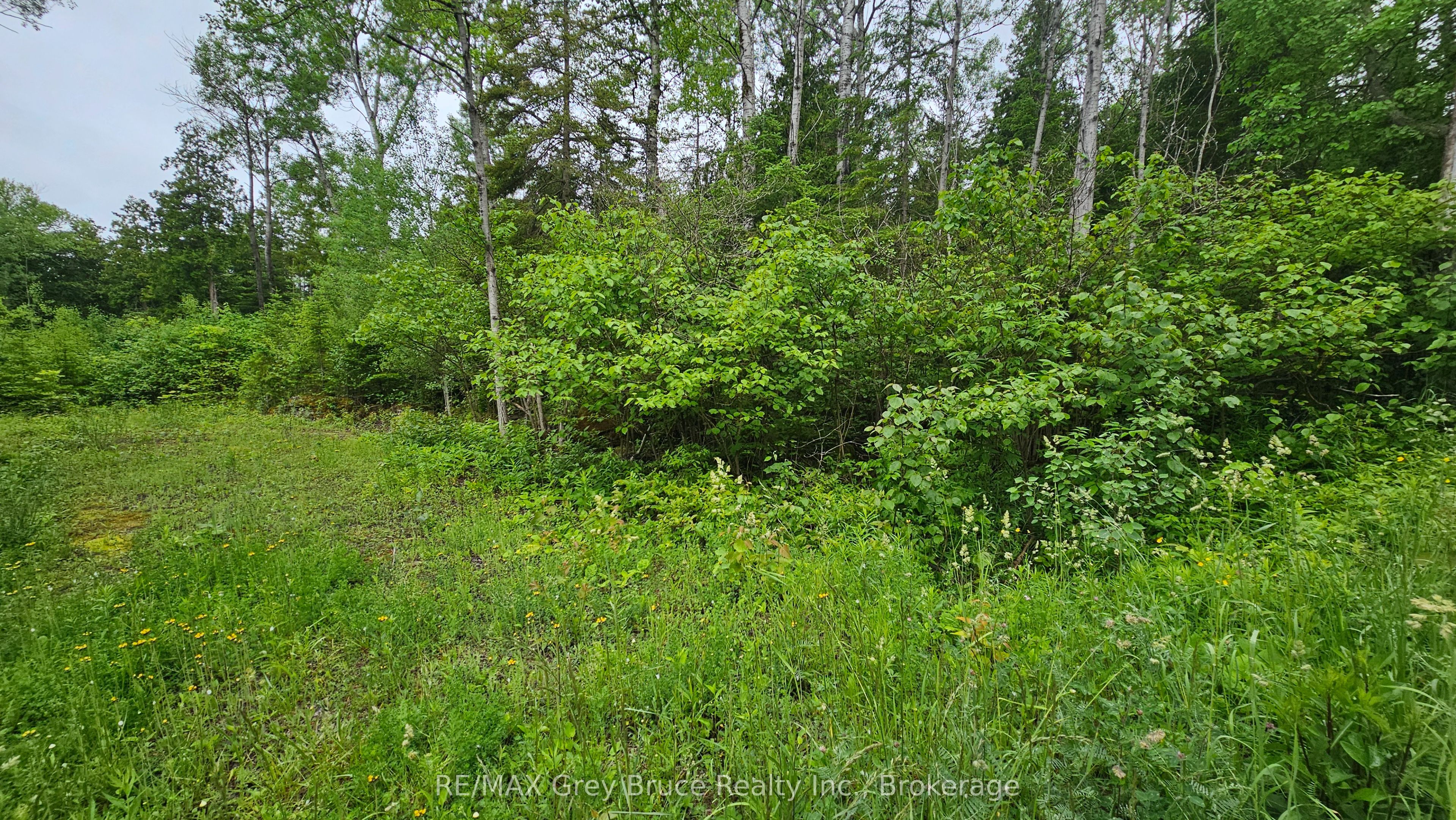 Pt Lt 35 Con 3 Wbr Hardwick Cove Road Property Photo 18