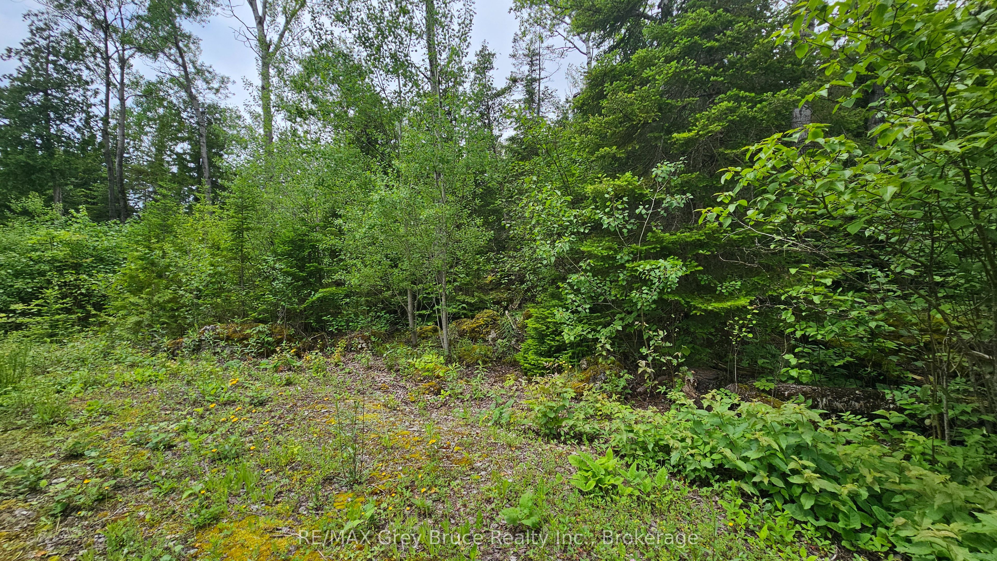 Pt Lt 35 Con 3 Wbr Hardwick Cove Road Property Photo 26