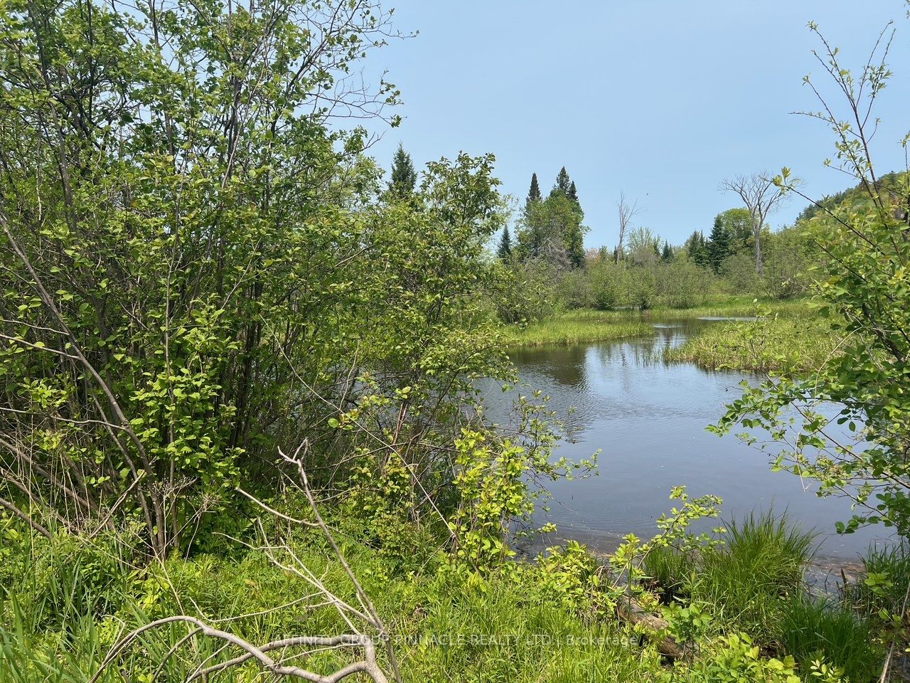 0 Trout Creek Lane Property Photo 1