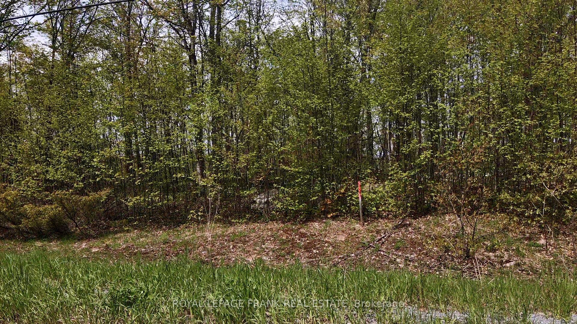 00 Birchview Road Property Photo 5