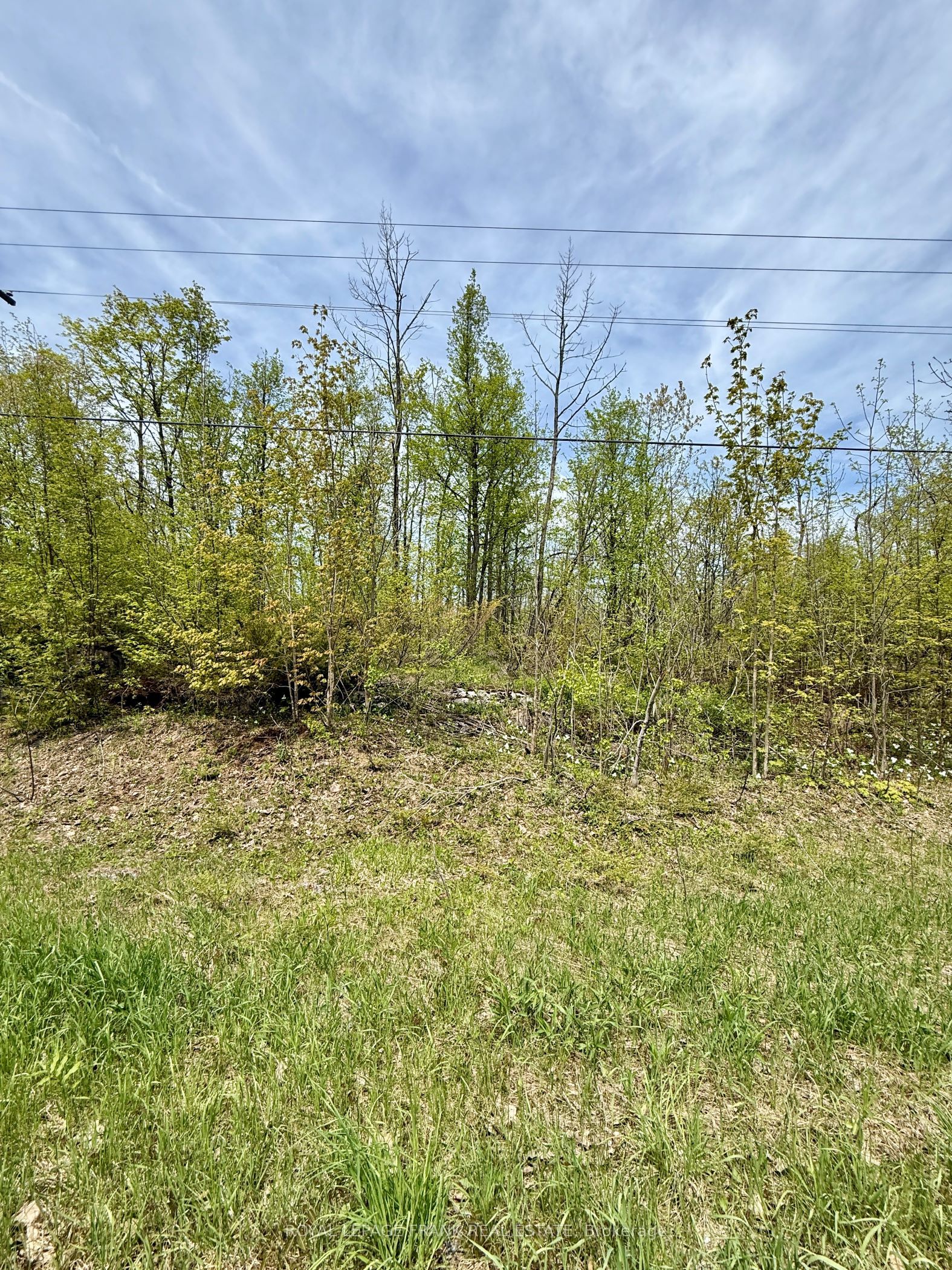 00 Birchview Road Property Photo 7