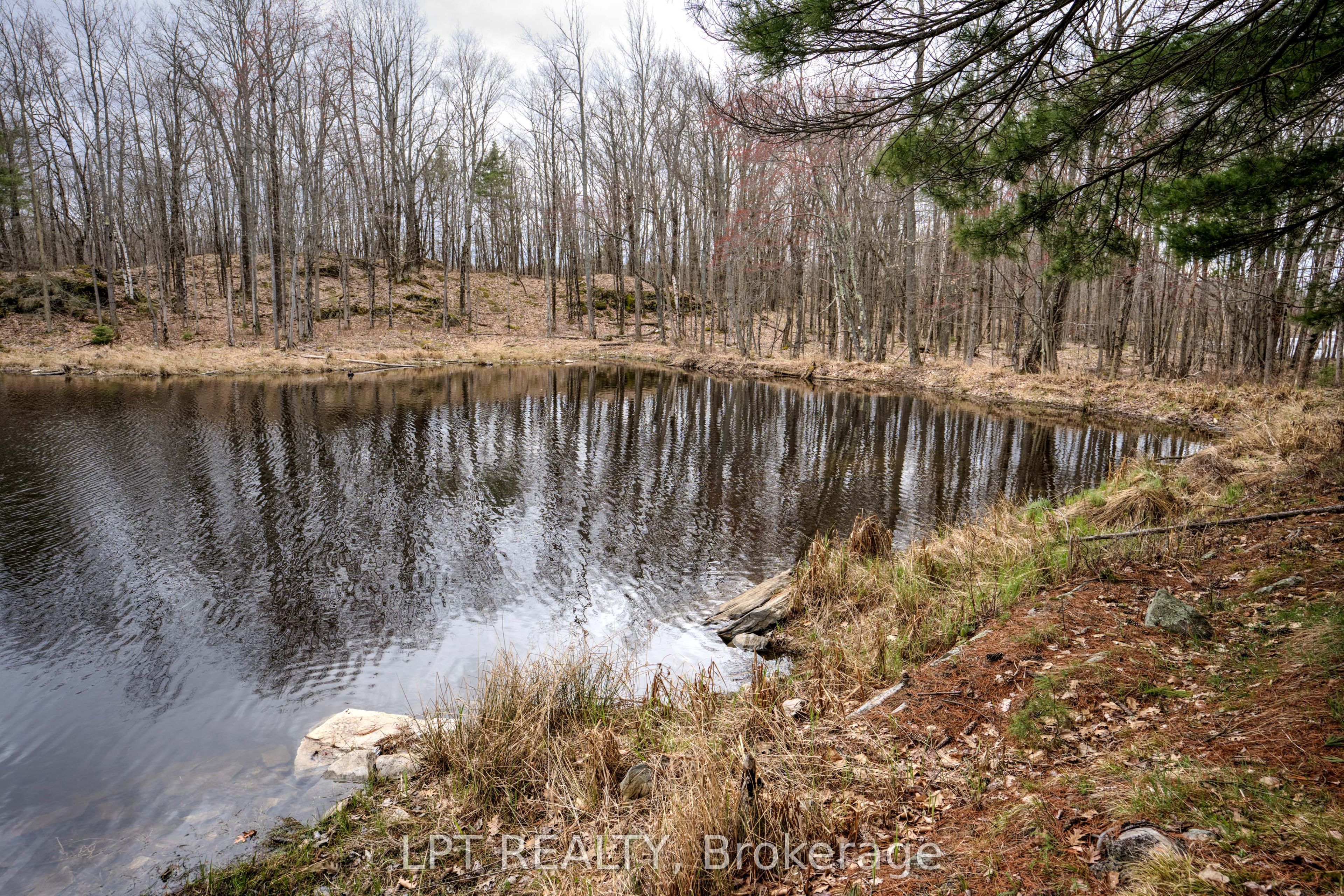 0 Old Sulphide Road Property Photo 5