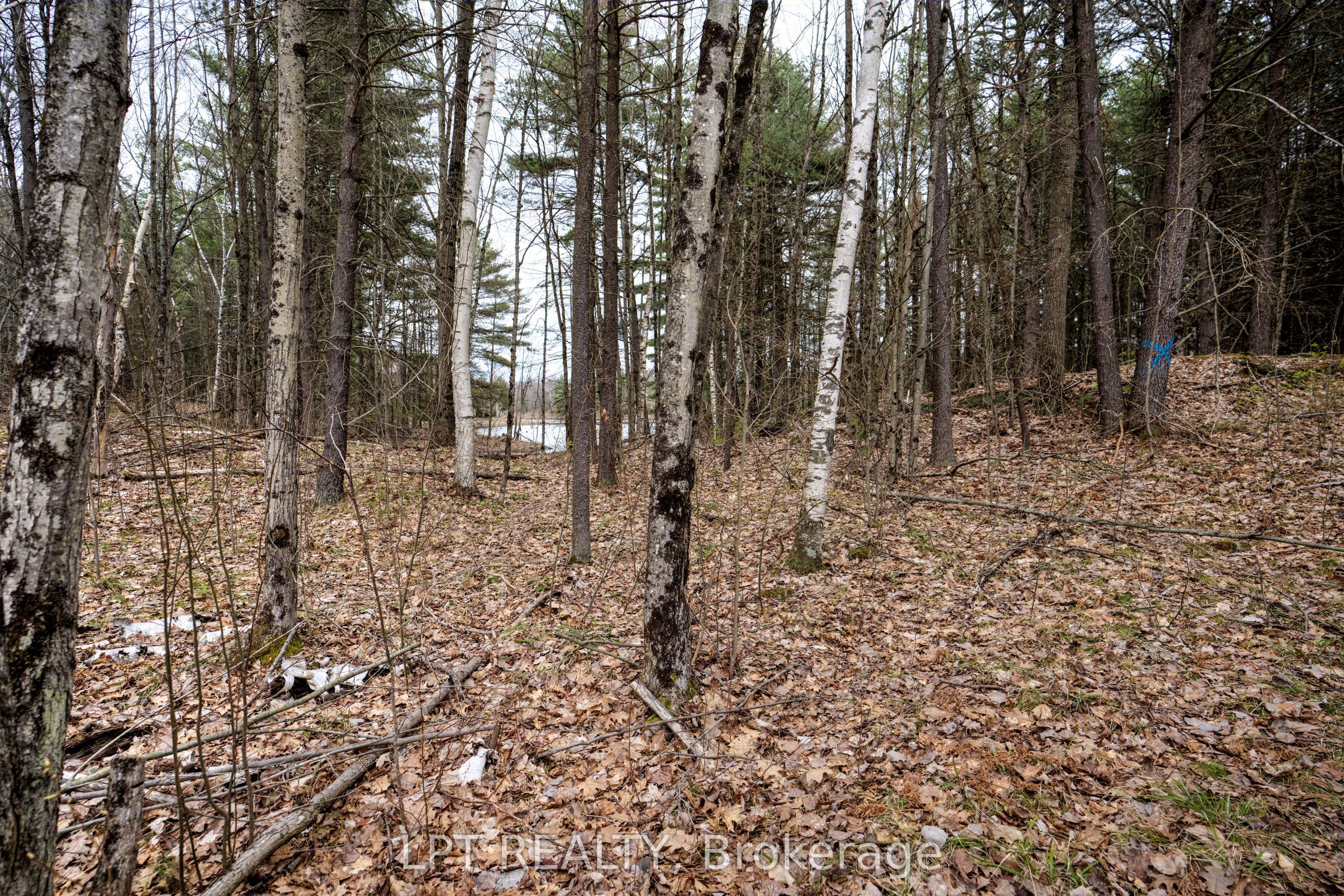 0 Old Sulphide Road Property Photo 25