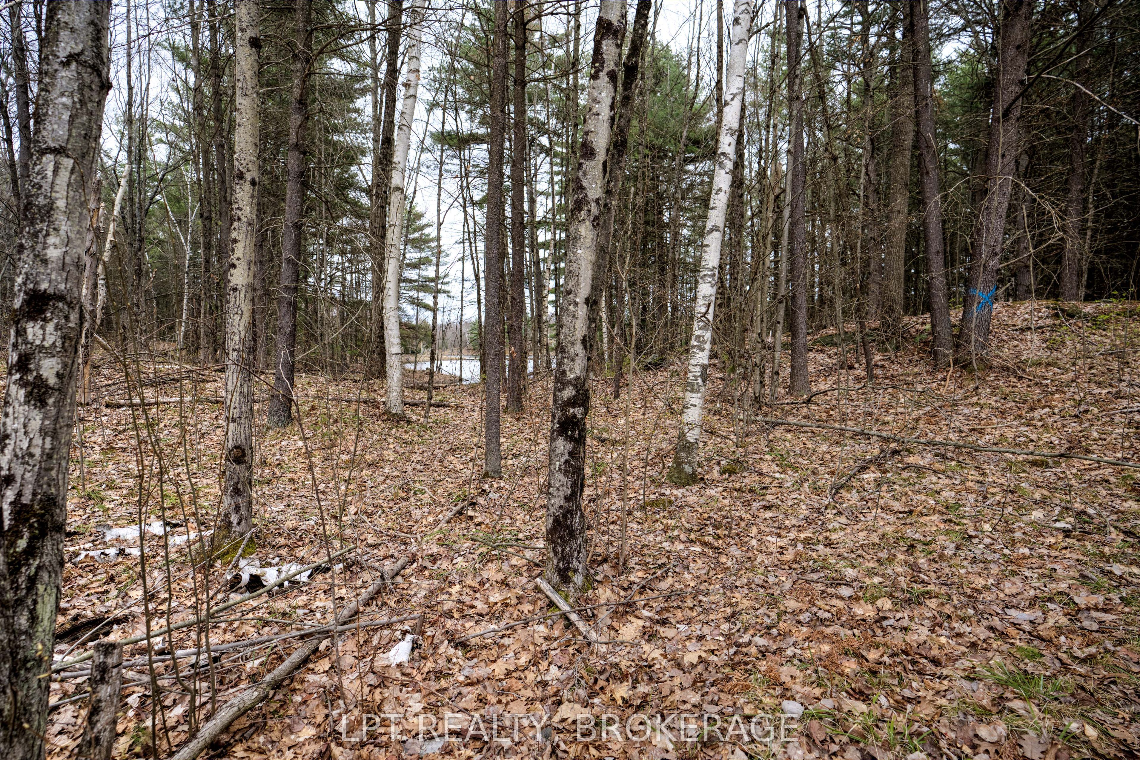 0 Old Sulphide Road Property Photo 25