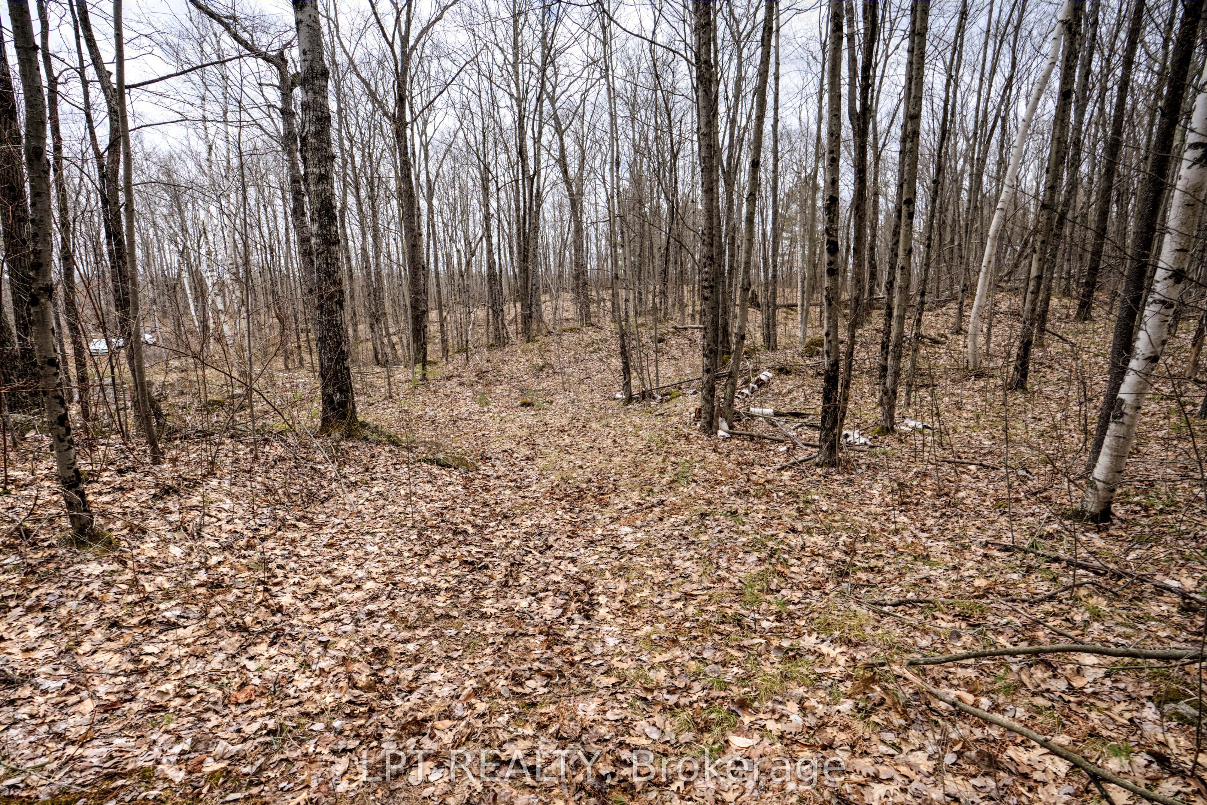 0 Old Sulphide Road Property Photo 26